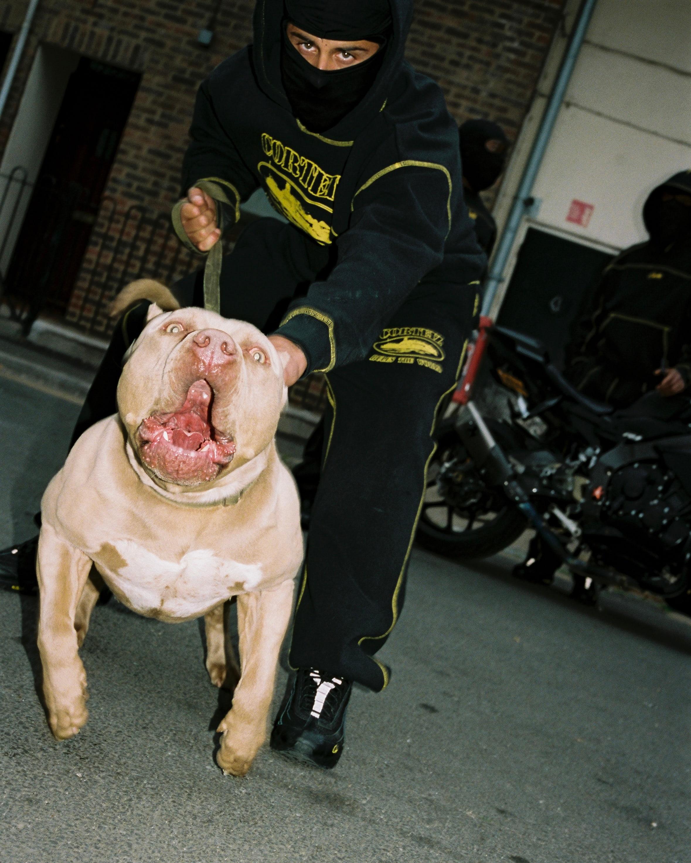 pitbull corteiz air max 95