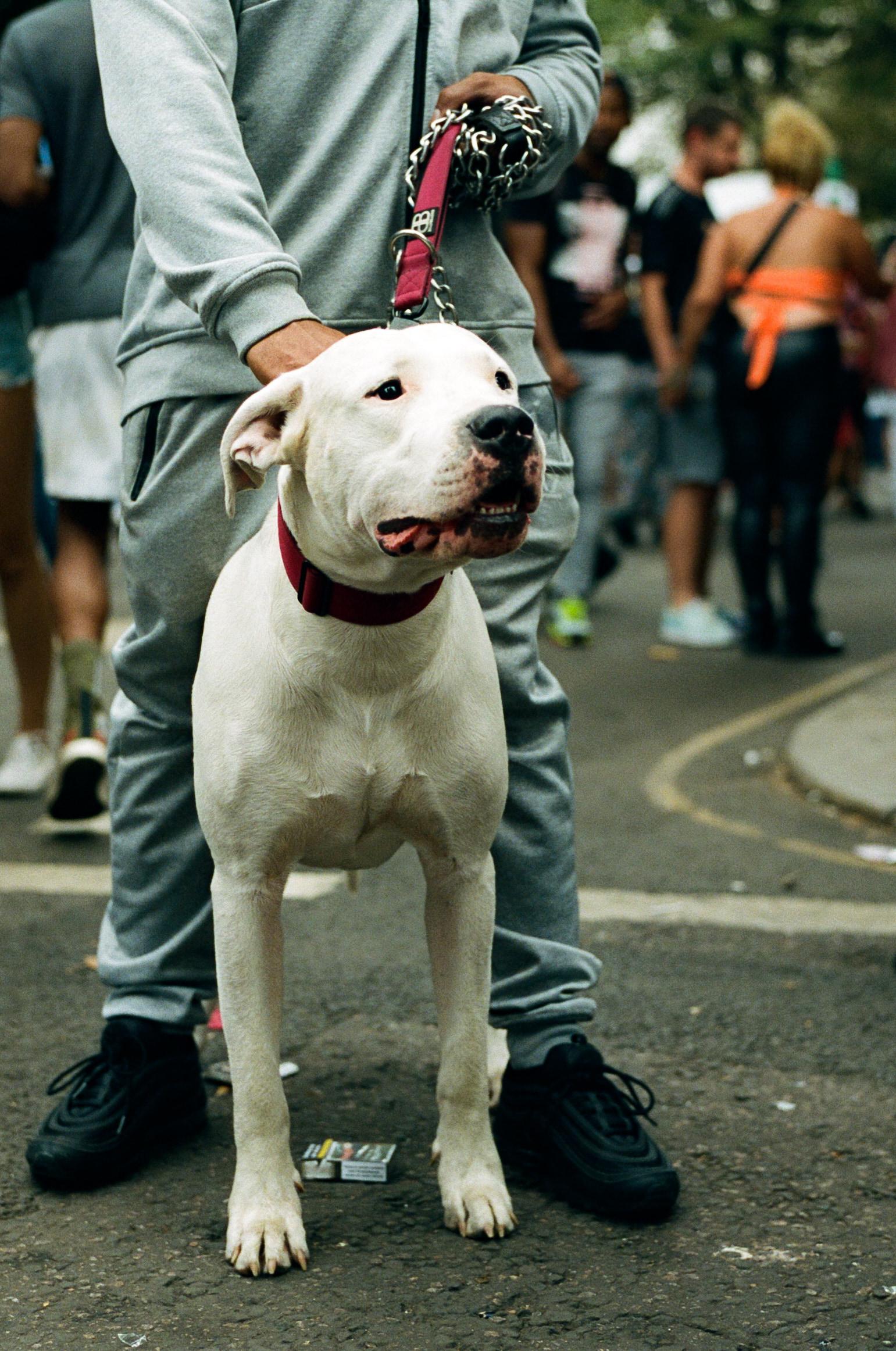 notting hill carnival photography