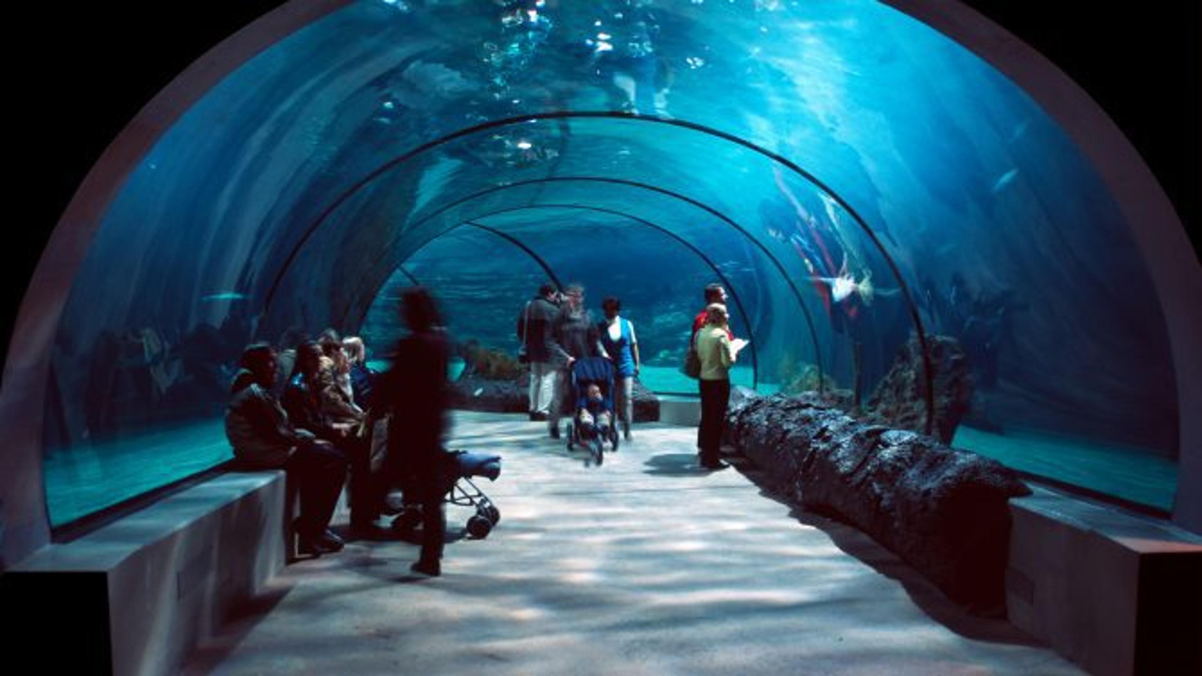 People check out an aquarium.