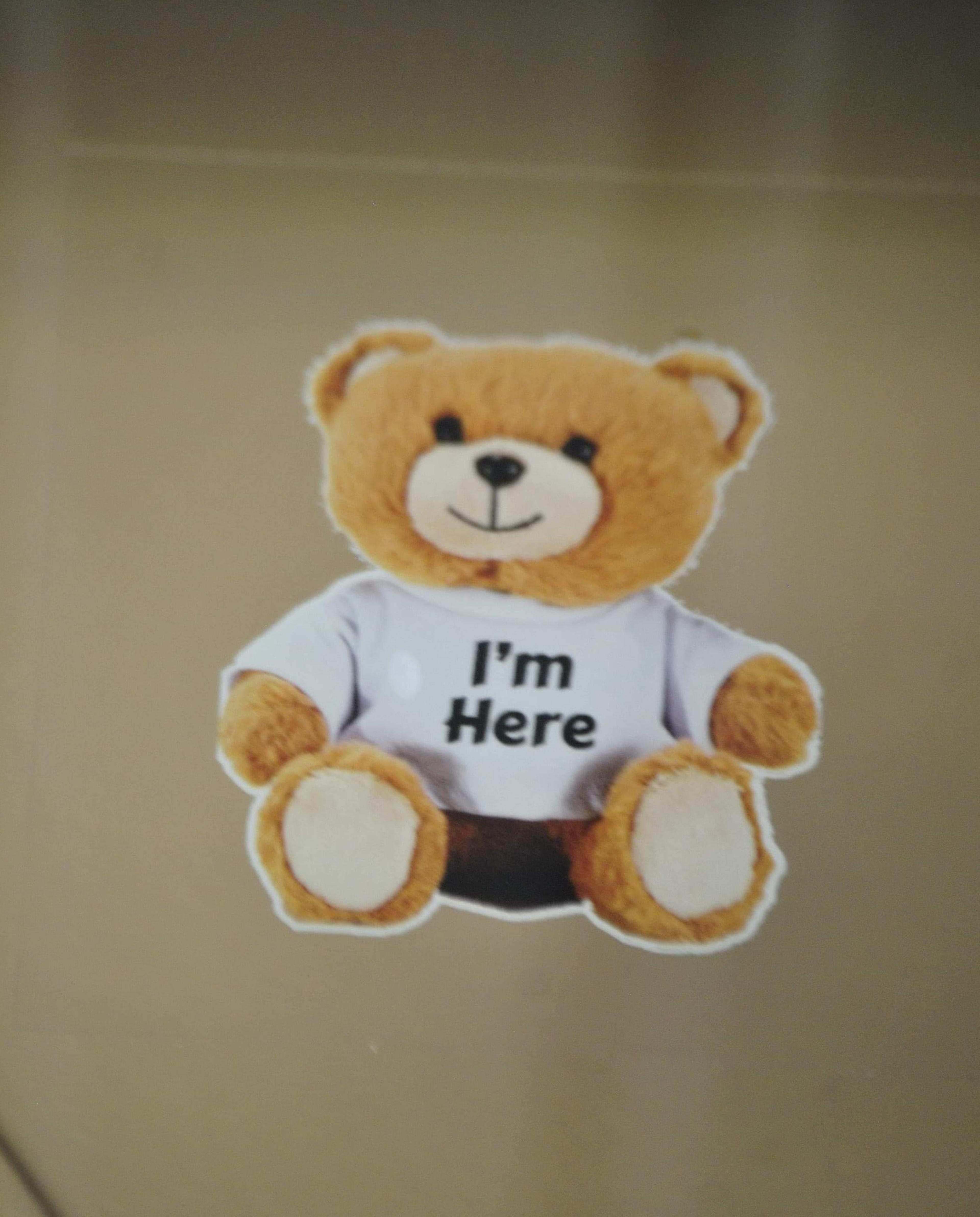 The ReeceWorld Bear created by Trina Perryman.