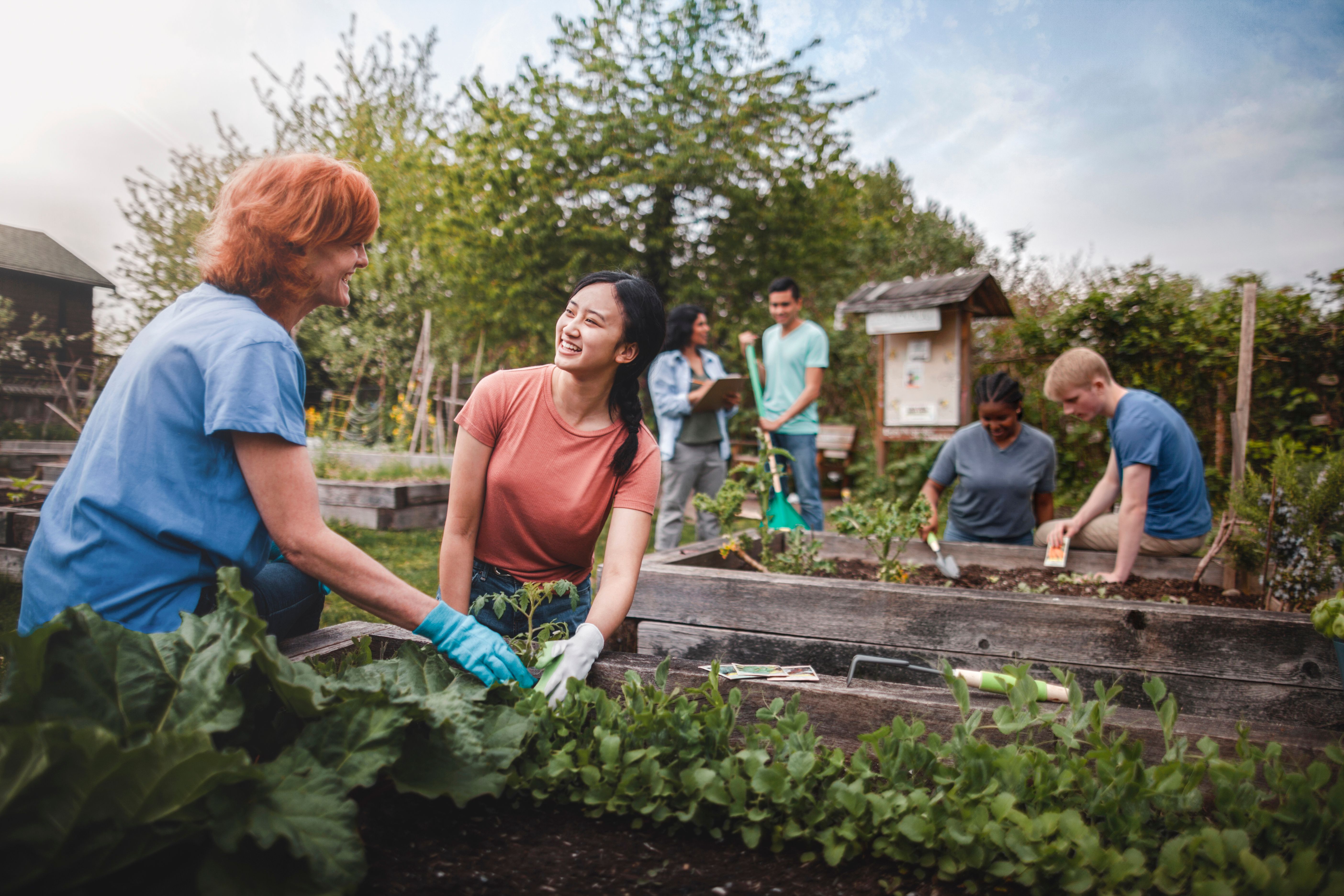 Gardening For Beginners At Home