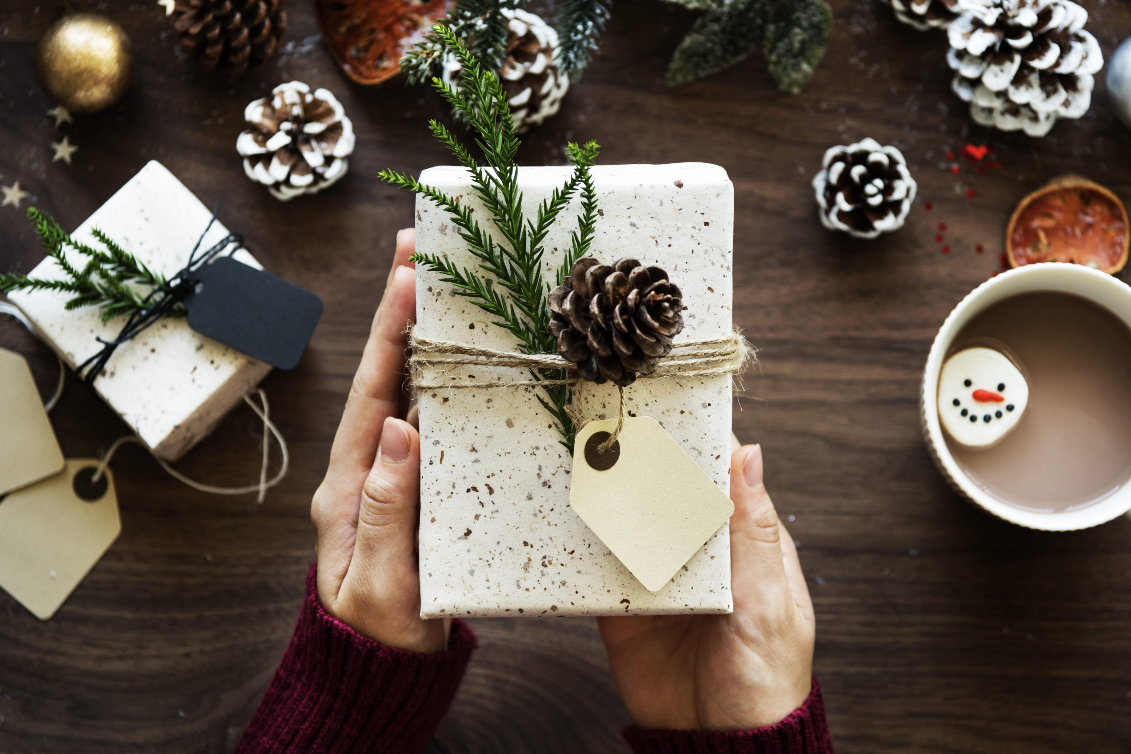 closeup of a gift with white wrapping paper and pine cones.