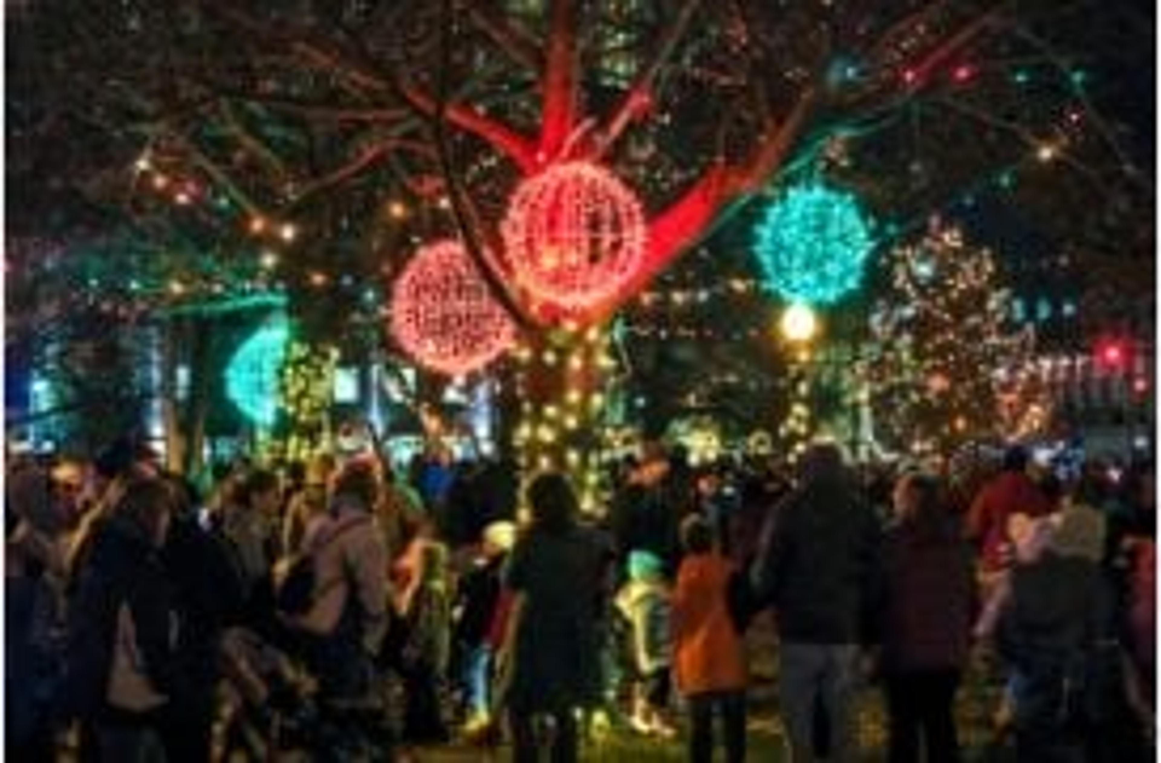 Kalamazoo tree lighting