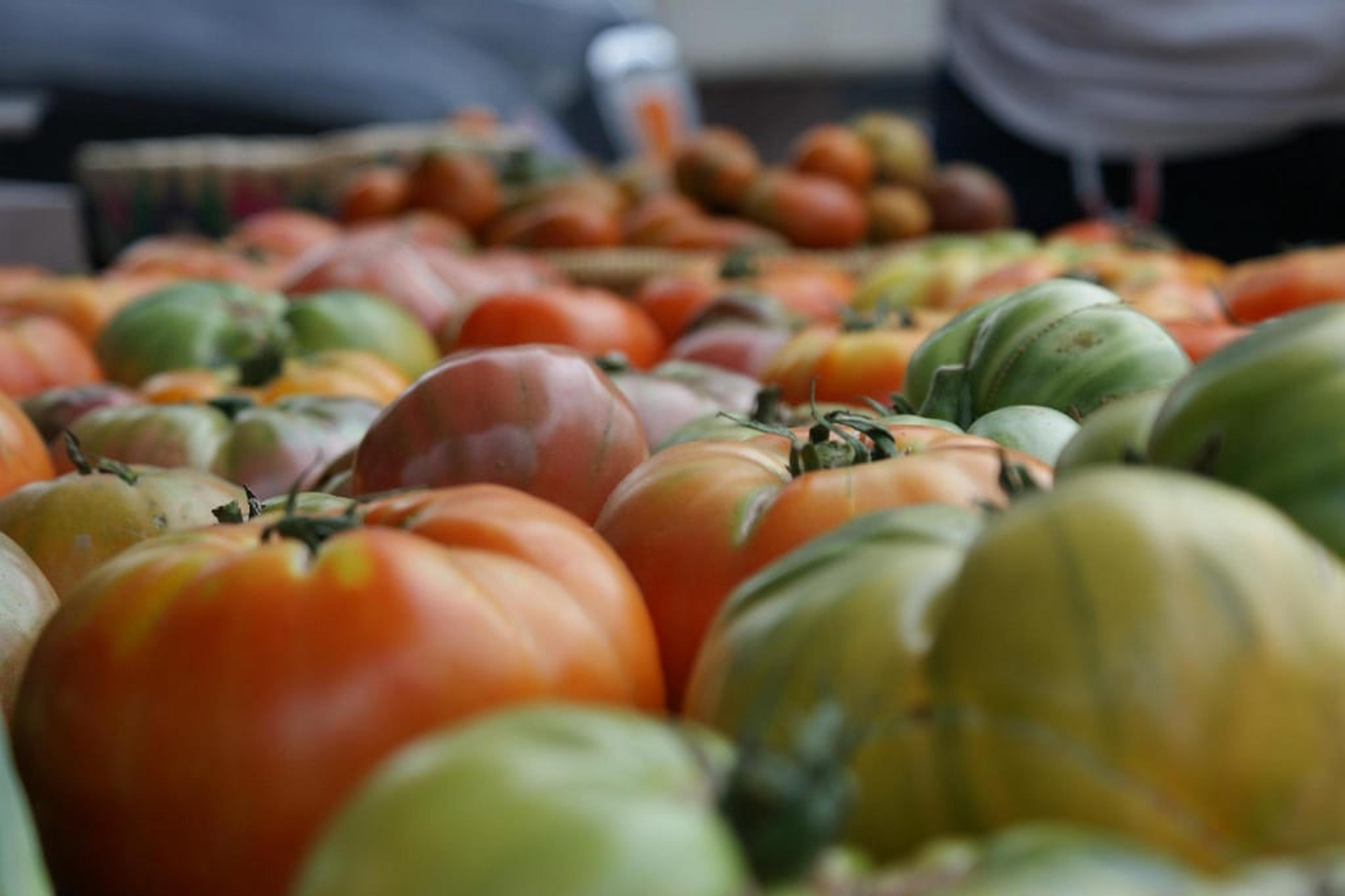 Photo is a close-up of red and green tomatoes.