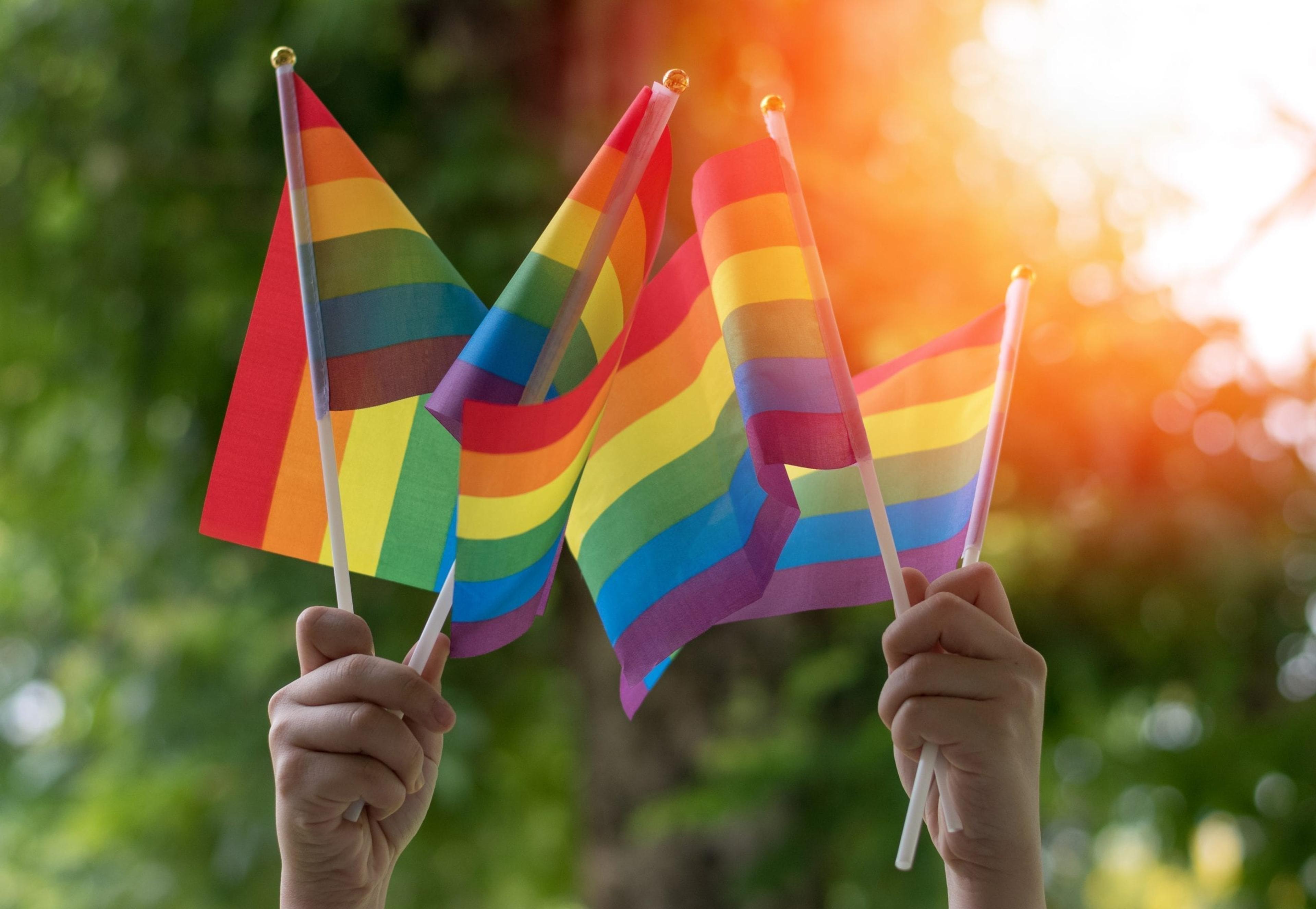 Hands holding up Pride flags