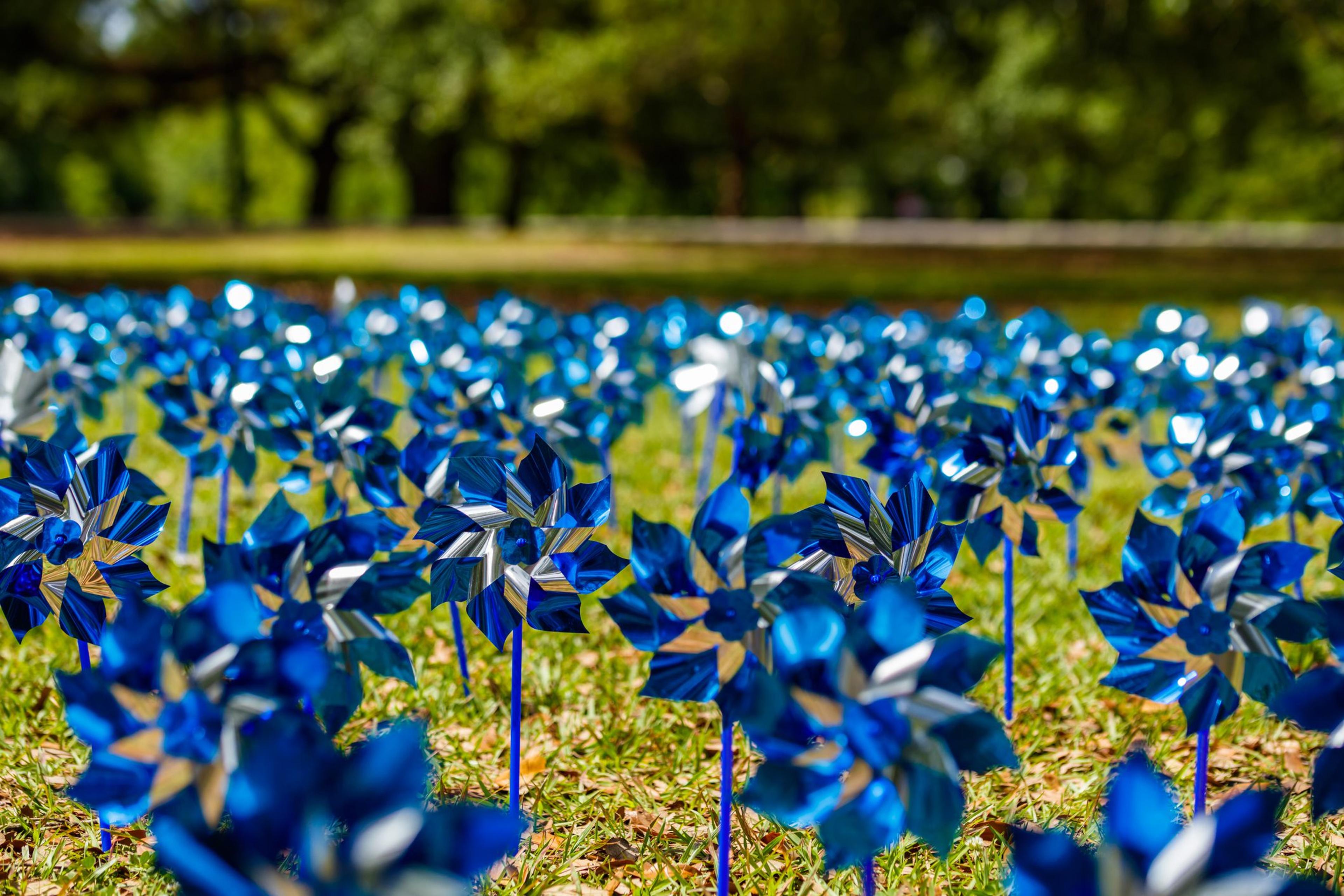 Blue pinwheels commemorating Child Abuse Prevention Month sit in a park