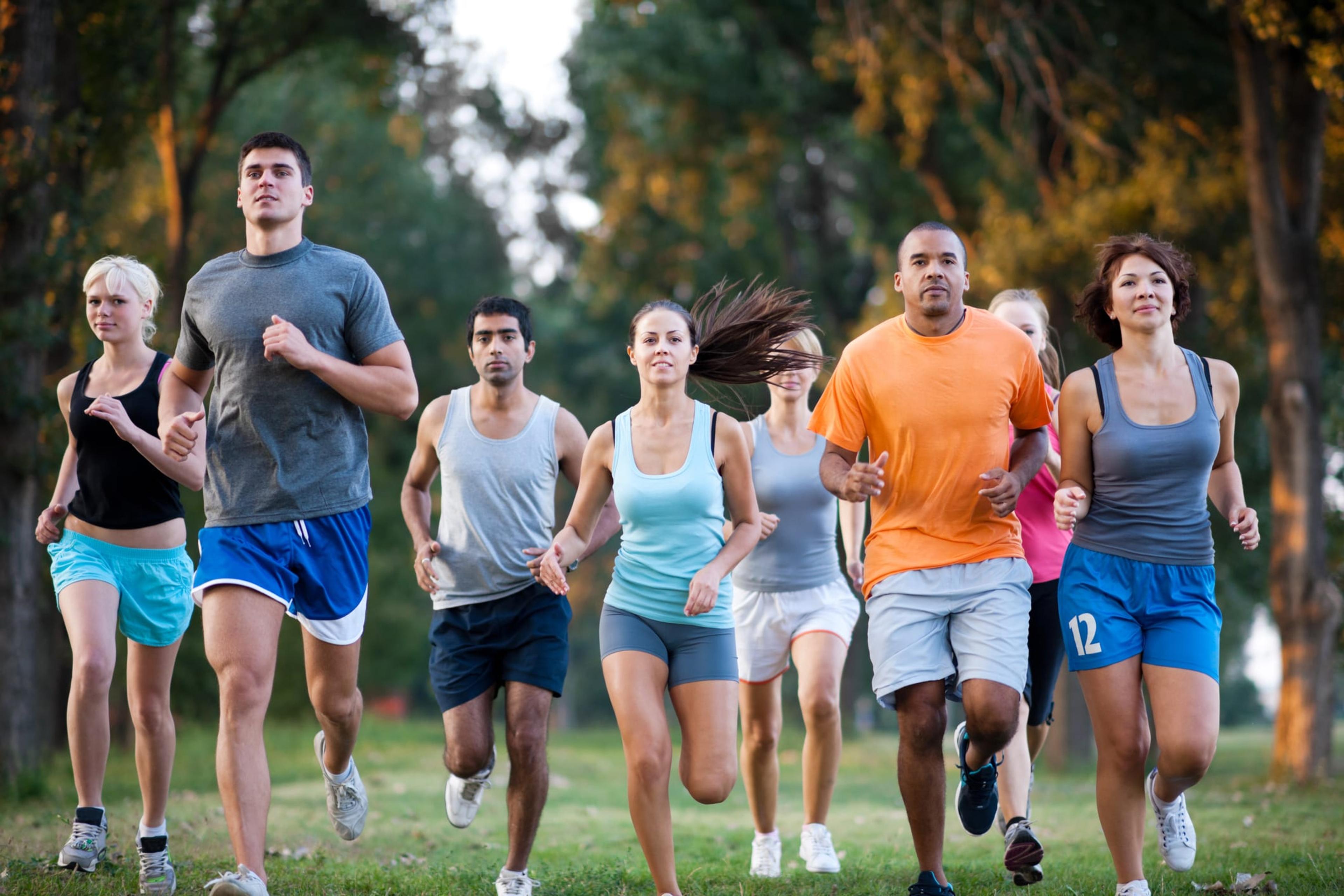 Group of runners in a cross country race