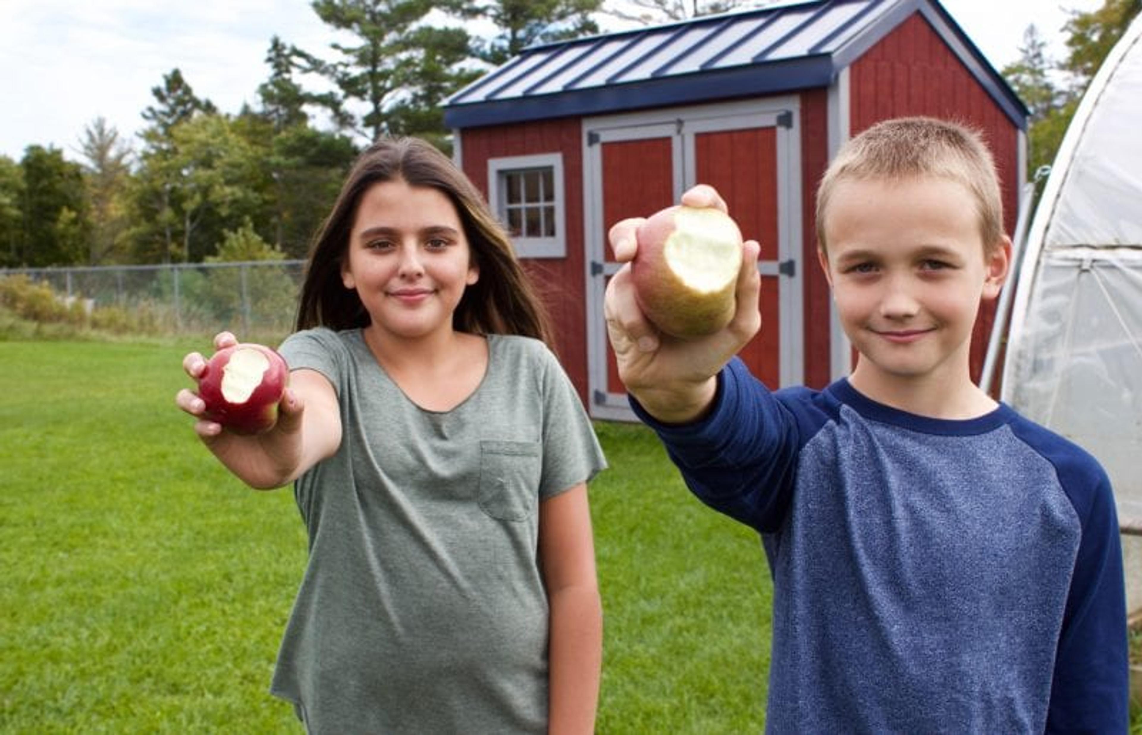 Beyond the Card Healthy Eating Kids Blue Cross Blue Shield