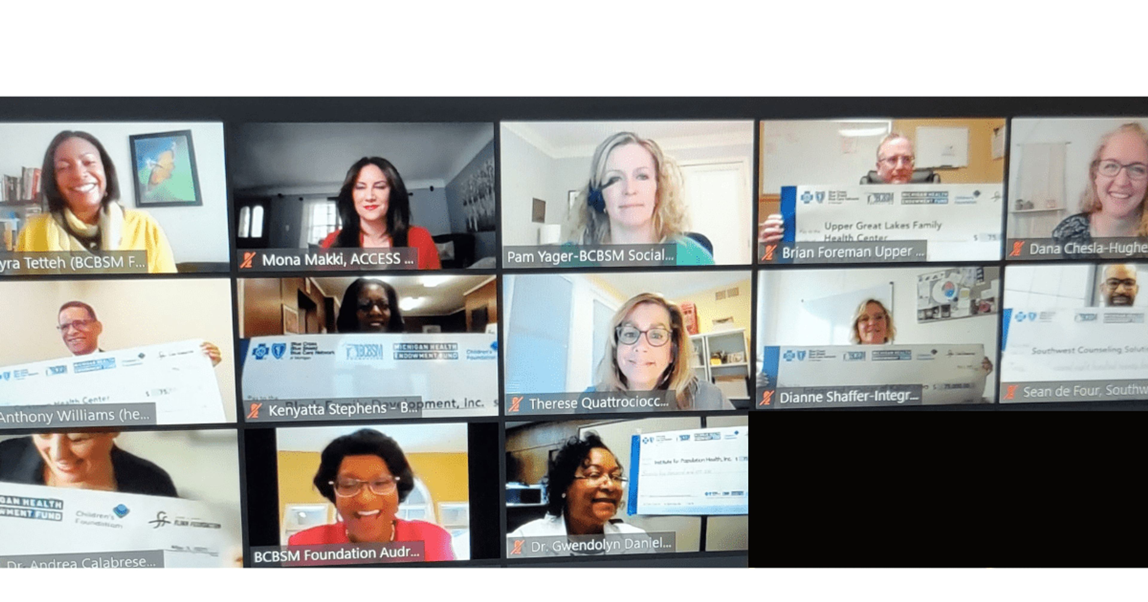 The recipients of suicide prevention grants on a recent video call.