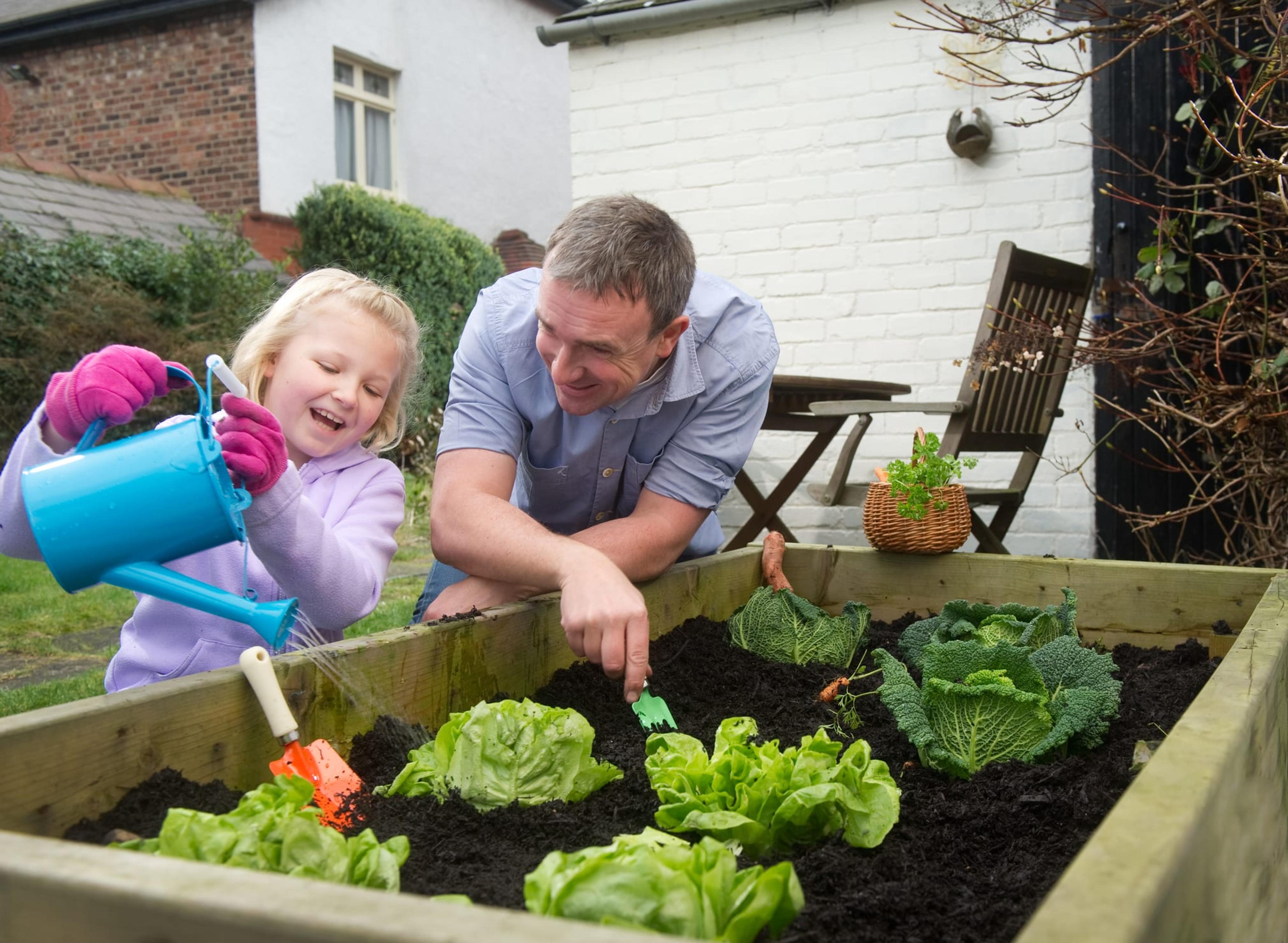 Father and daughter watering a backyard garden