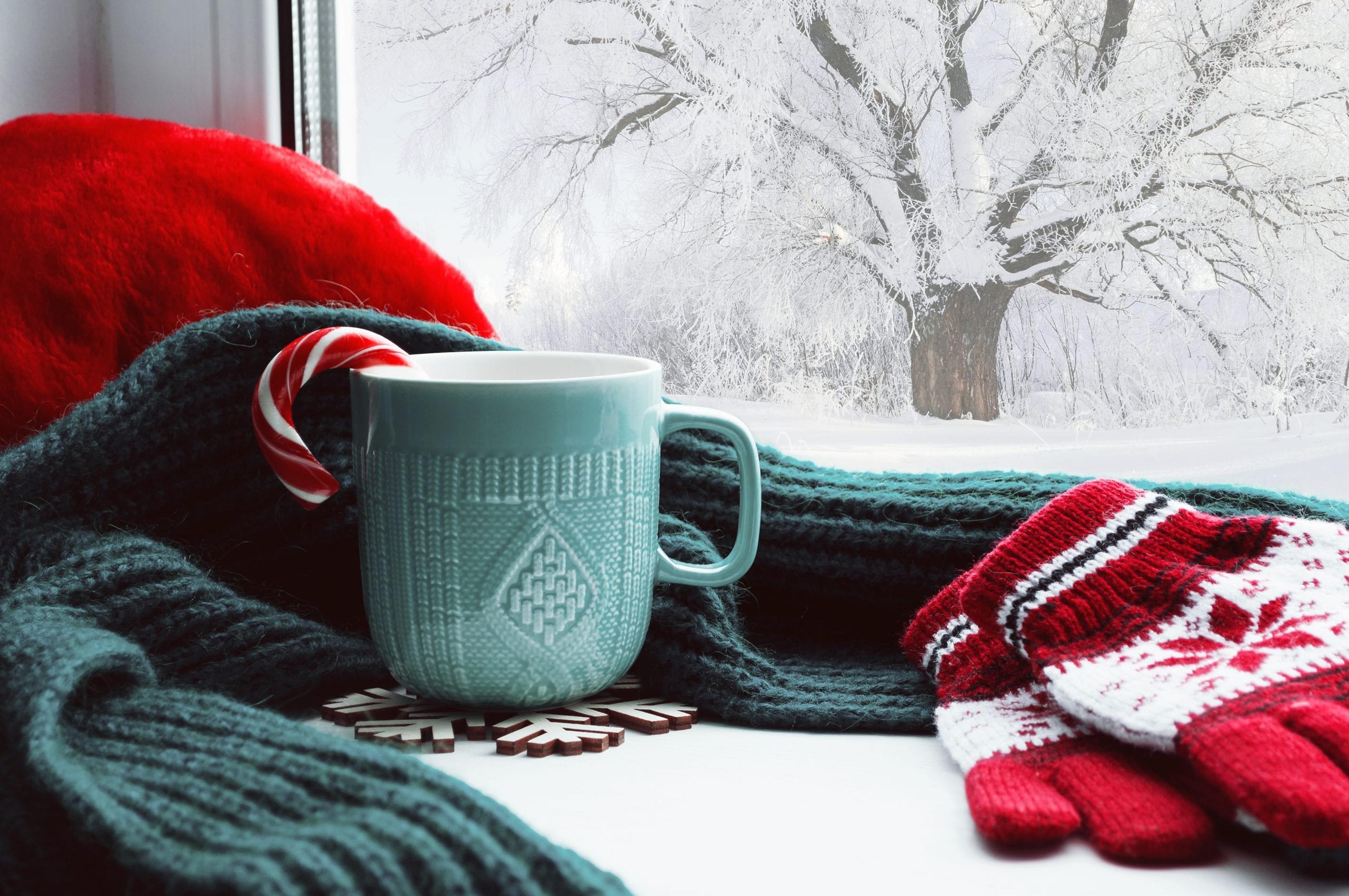 Winter scene with a mug, scarf and gloves on a windowsill looking out over a snowy yard and tree.