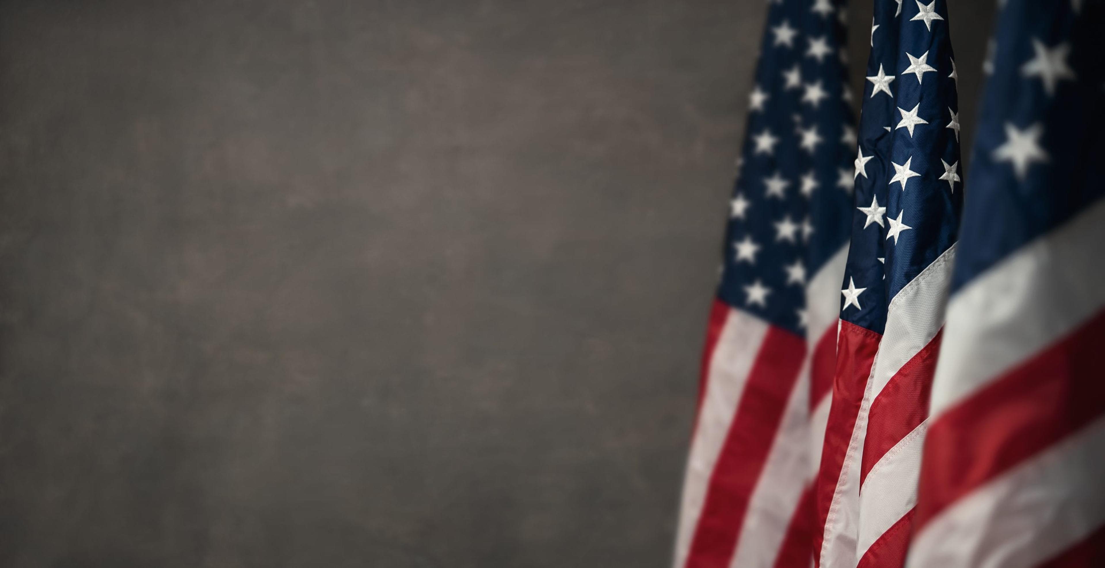 American flags on a gray background