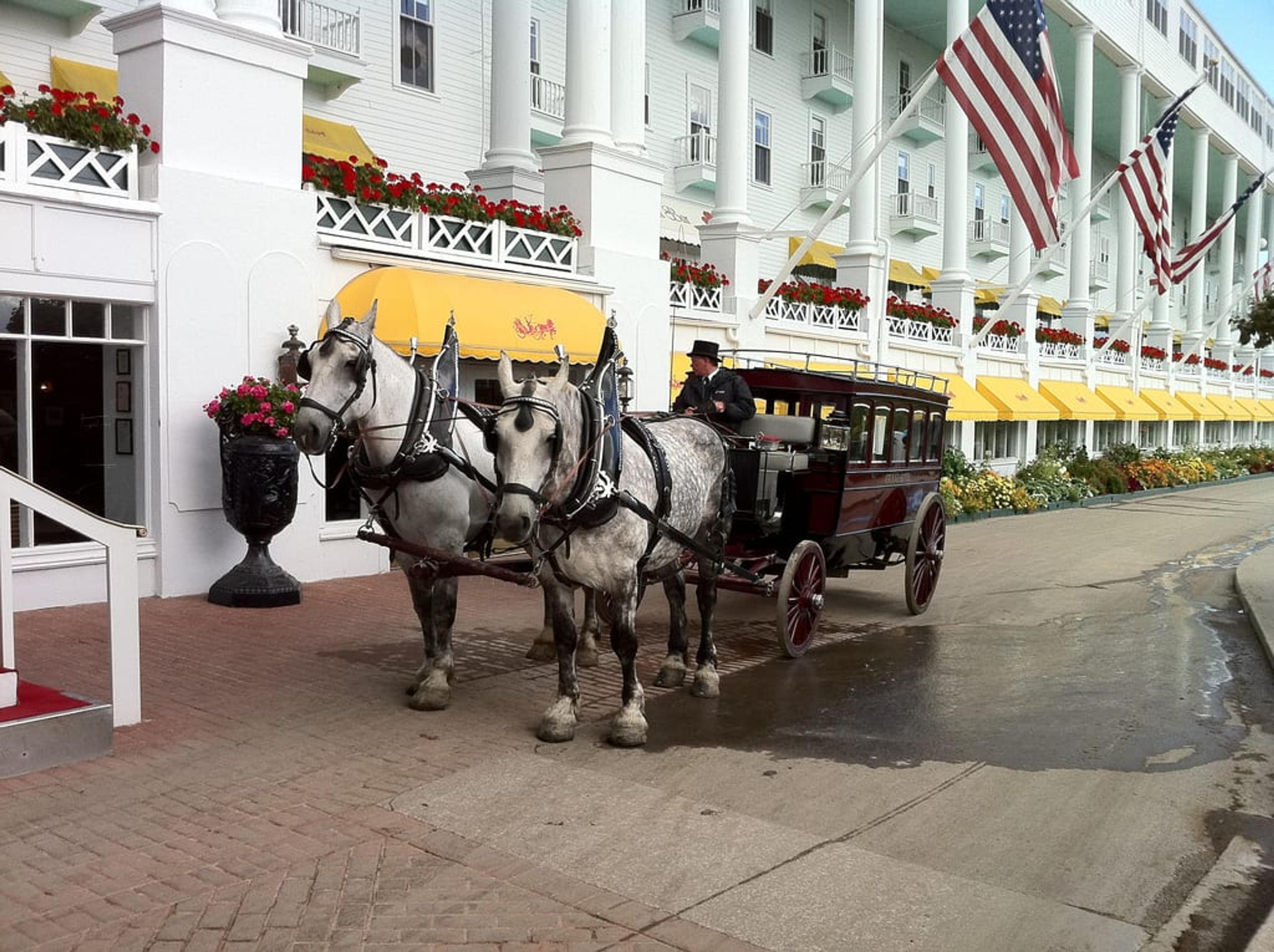 two horses and a fancy carriage.