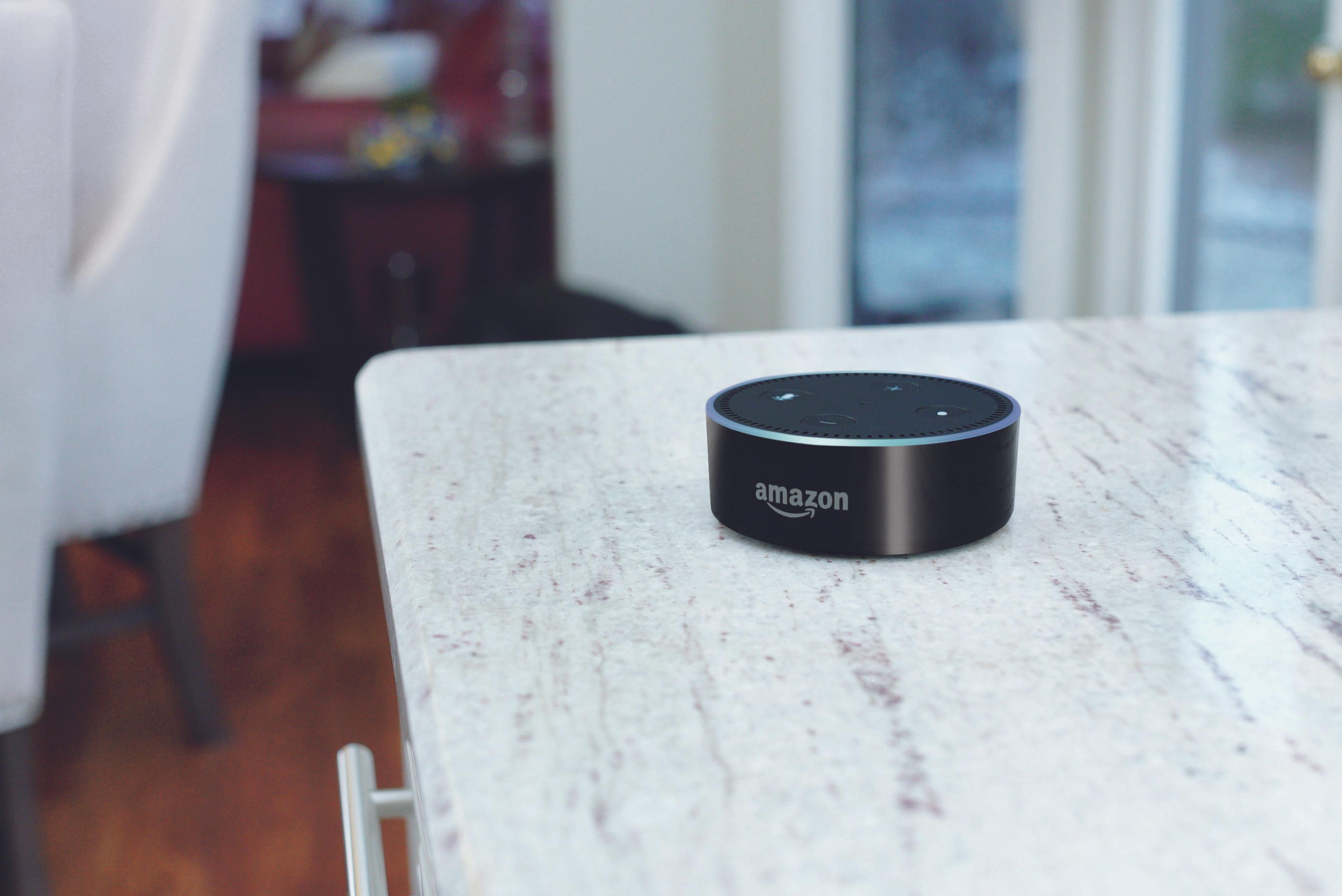 An Amazon Echo dot sits on a kitchen counter