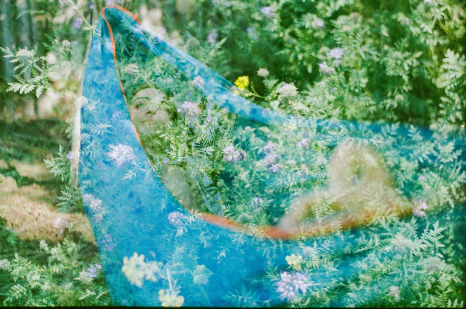 hammock overlaid on flower bush