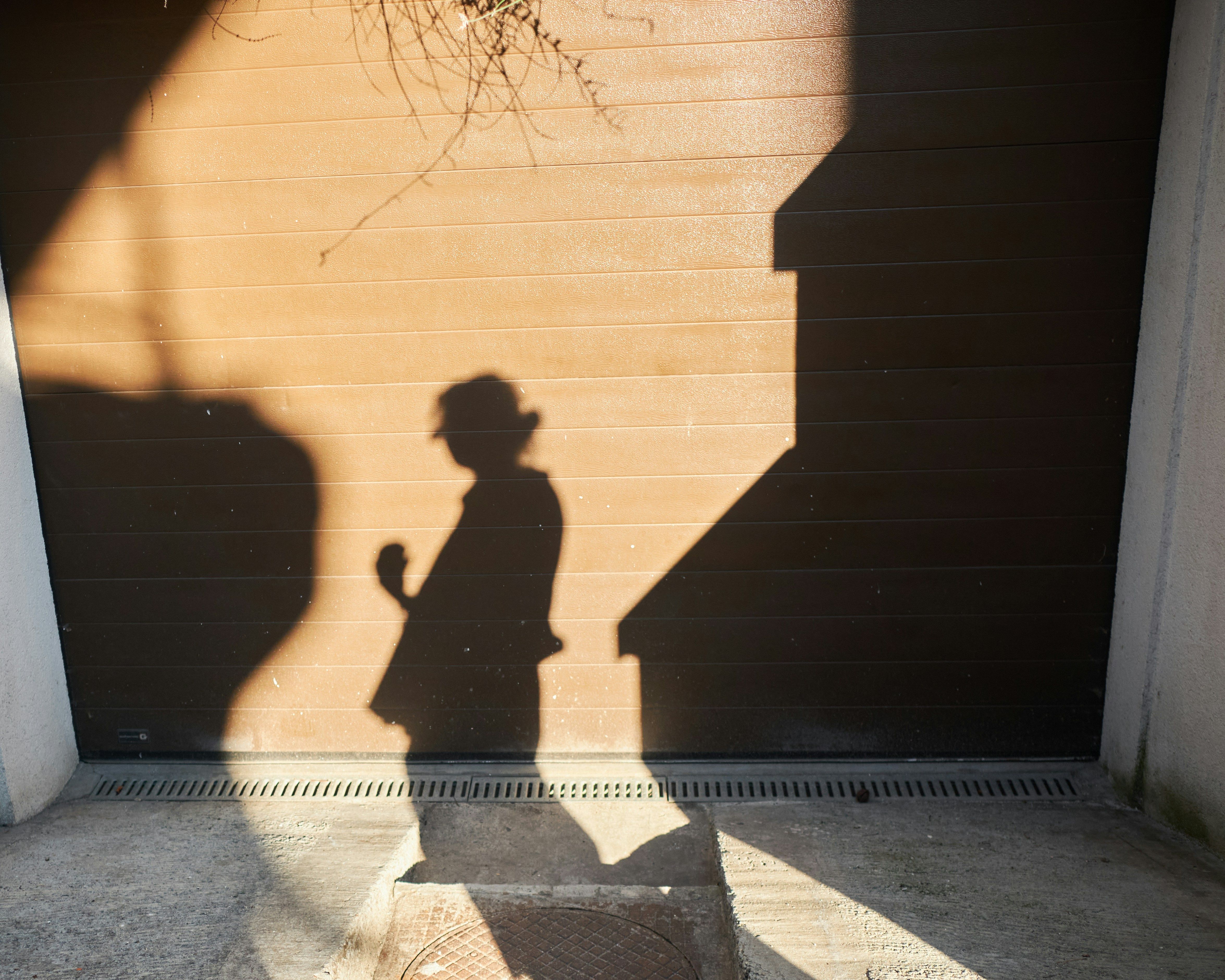 Shadow