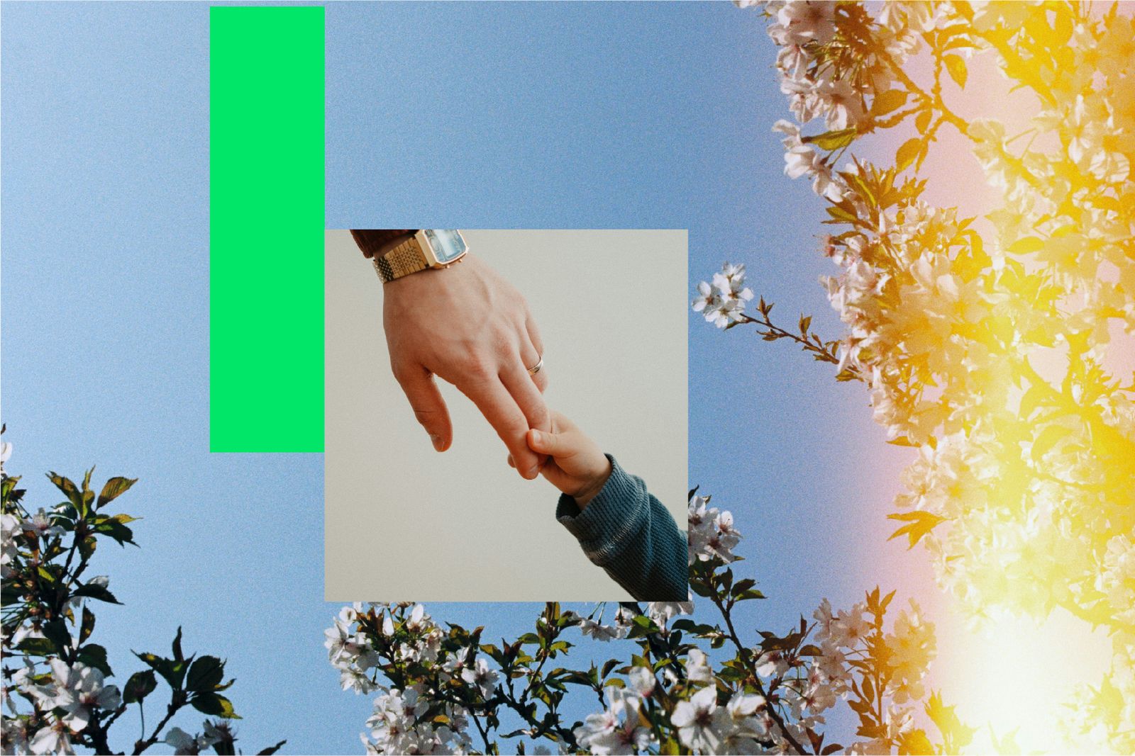 parent and child holding hand on flowers