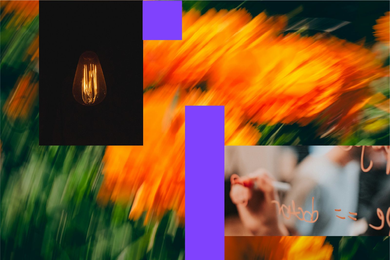 Light bulb, flowers, dry erase board