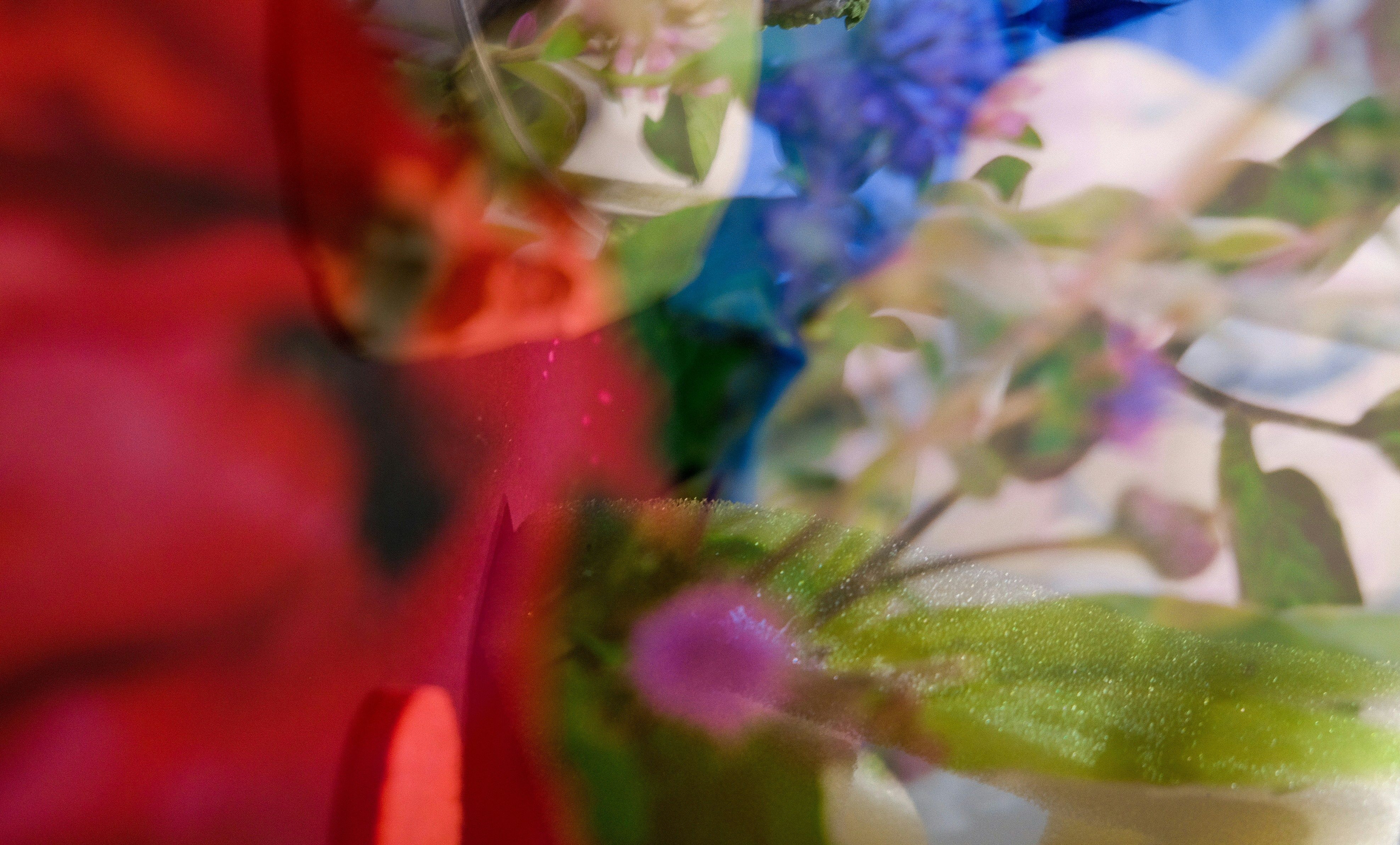 abstract flowers