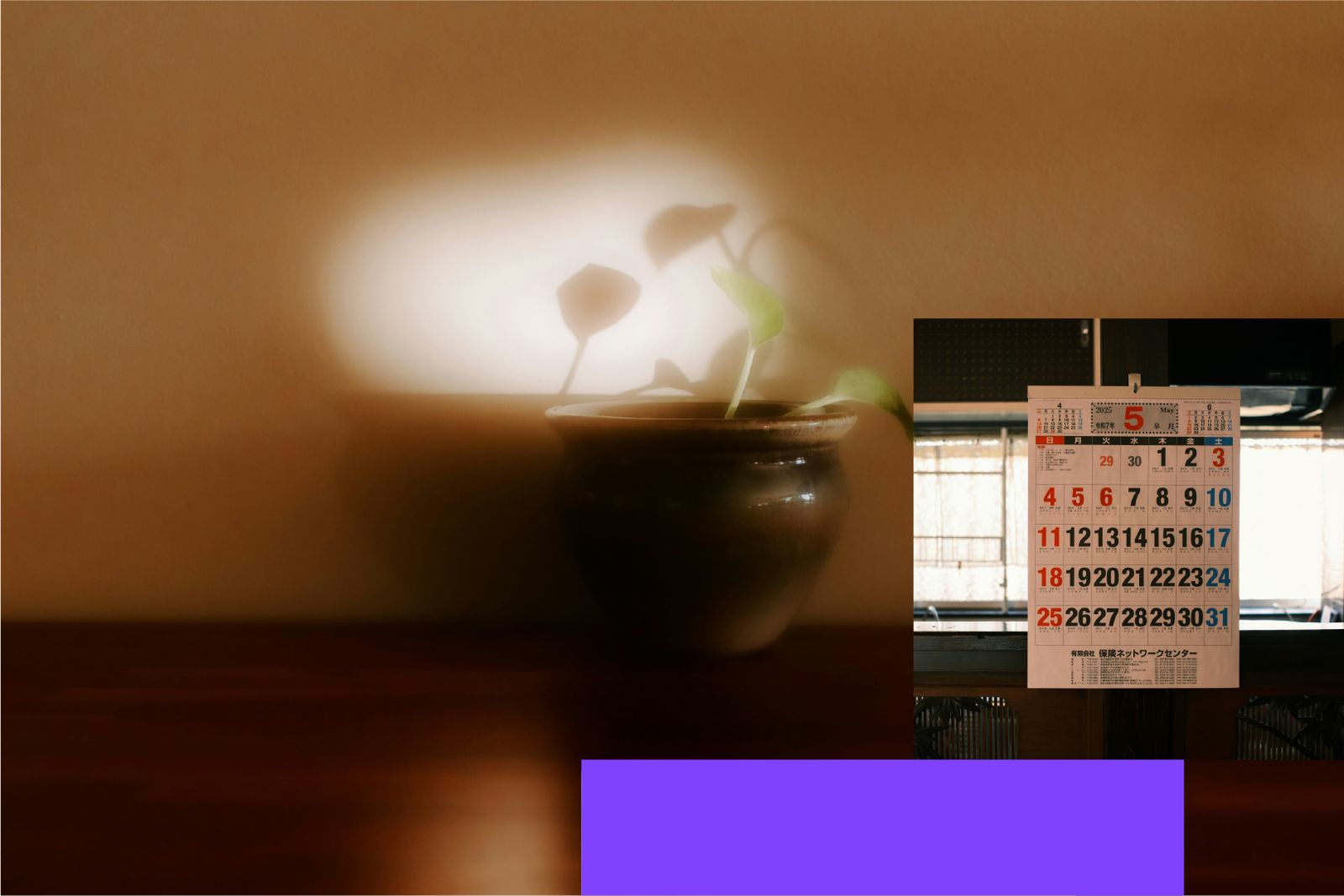 A plant on a shelf