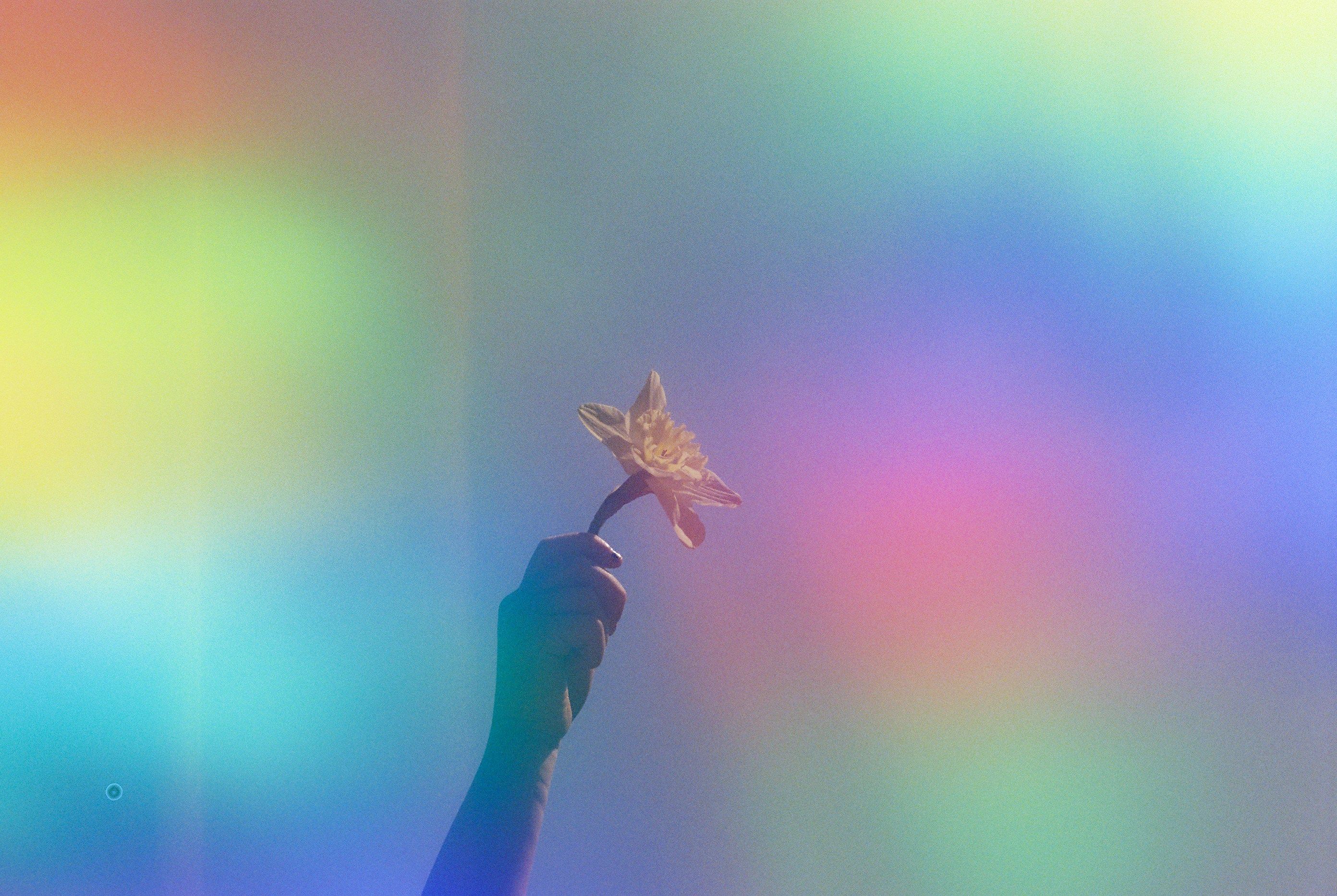 Rainbows, Flower
