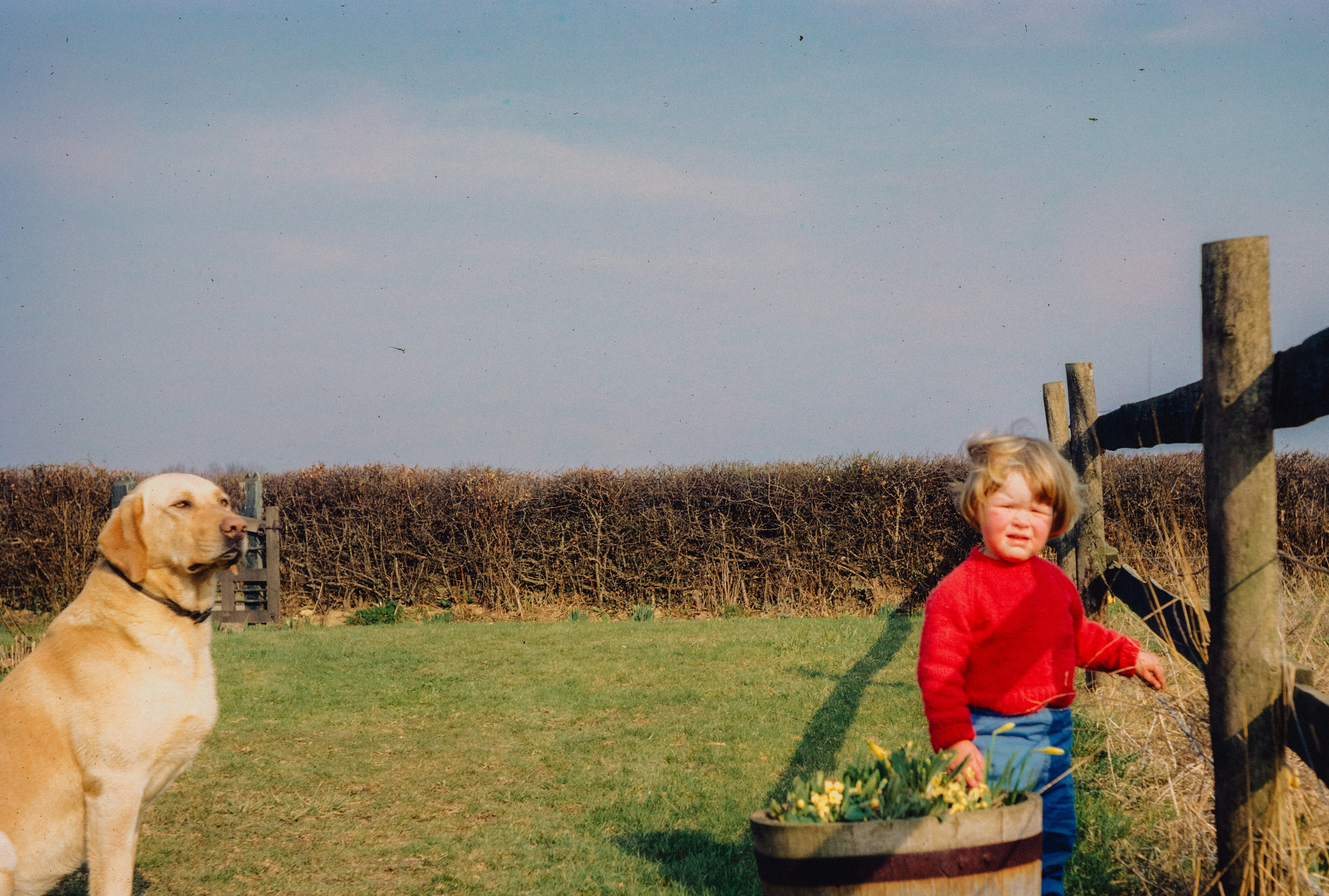 Child and Dog