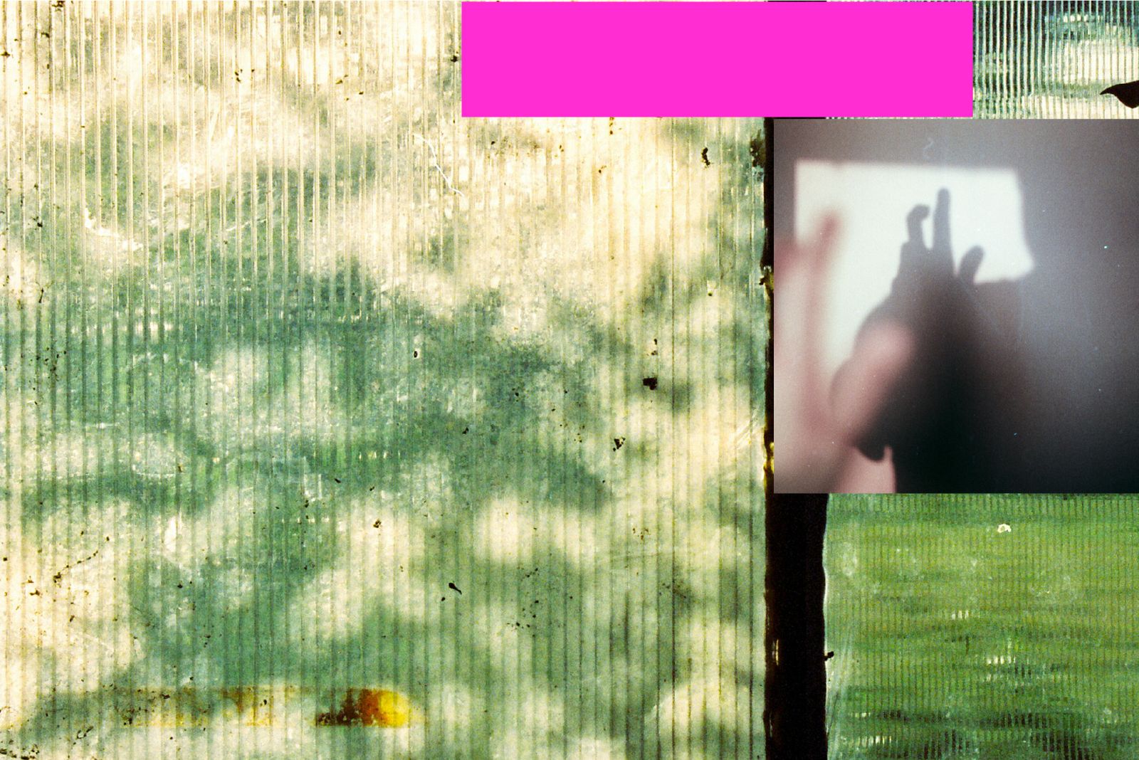 Shadow on Window