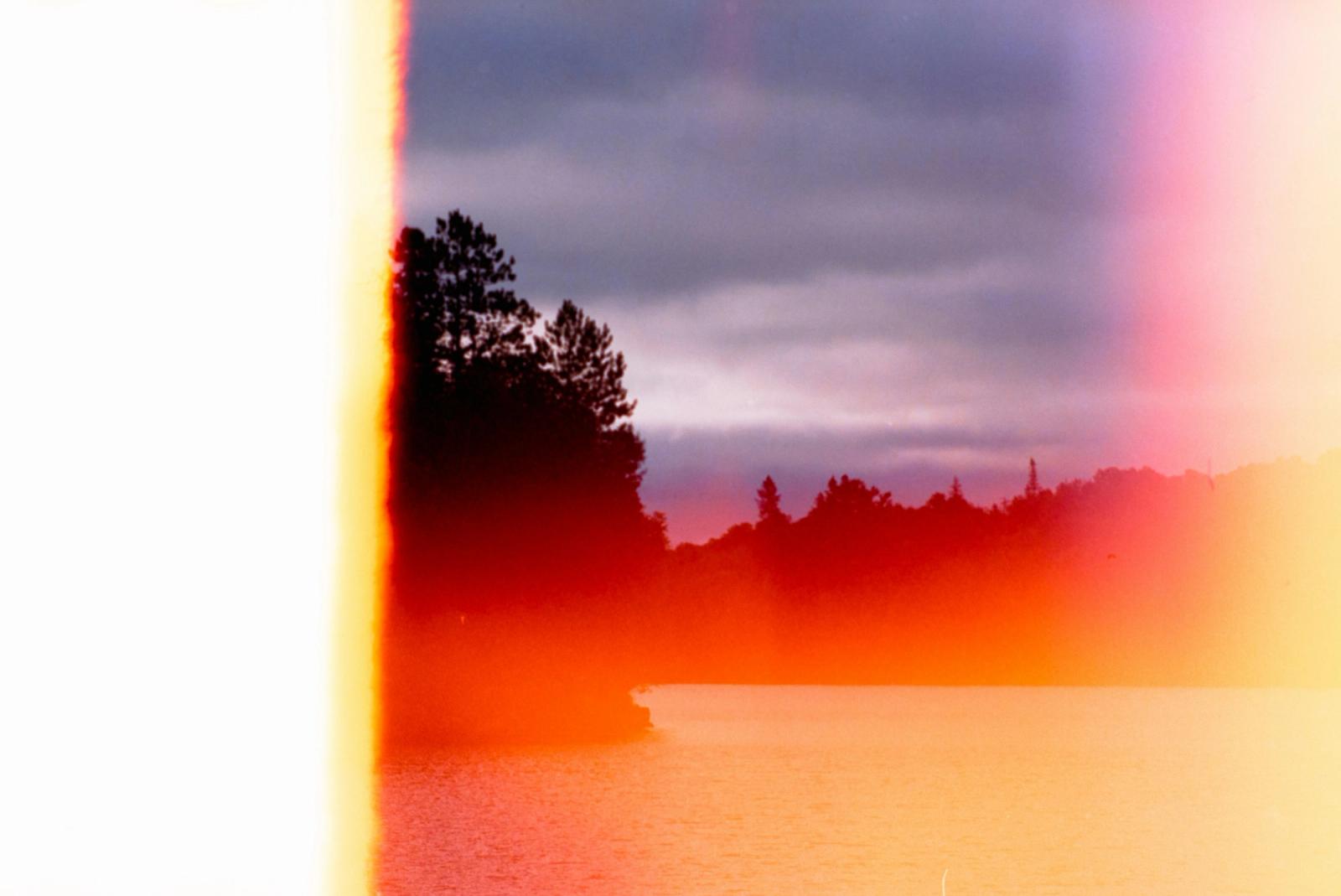 light leak image of tree