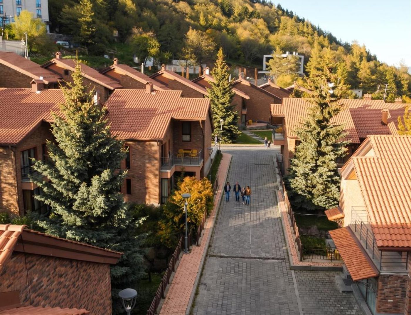 Teghenis Resort Tsaghkadzor (Kotayk region) - photo 1