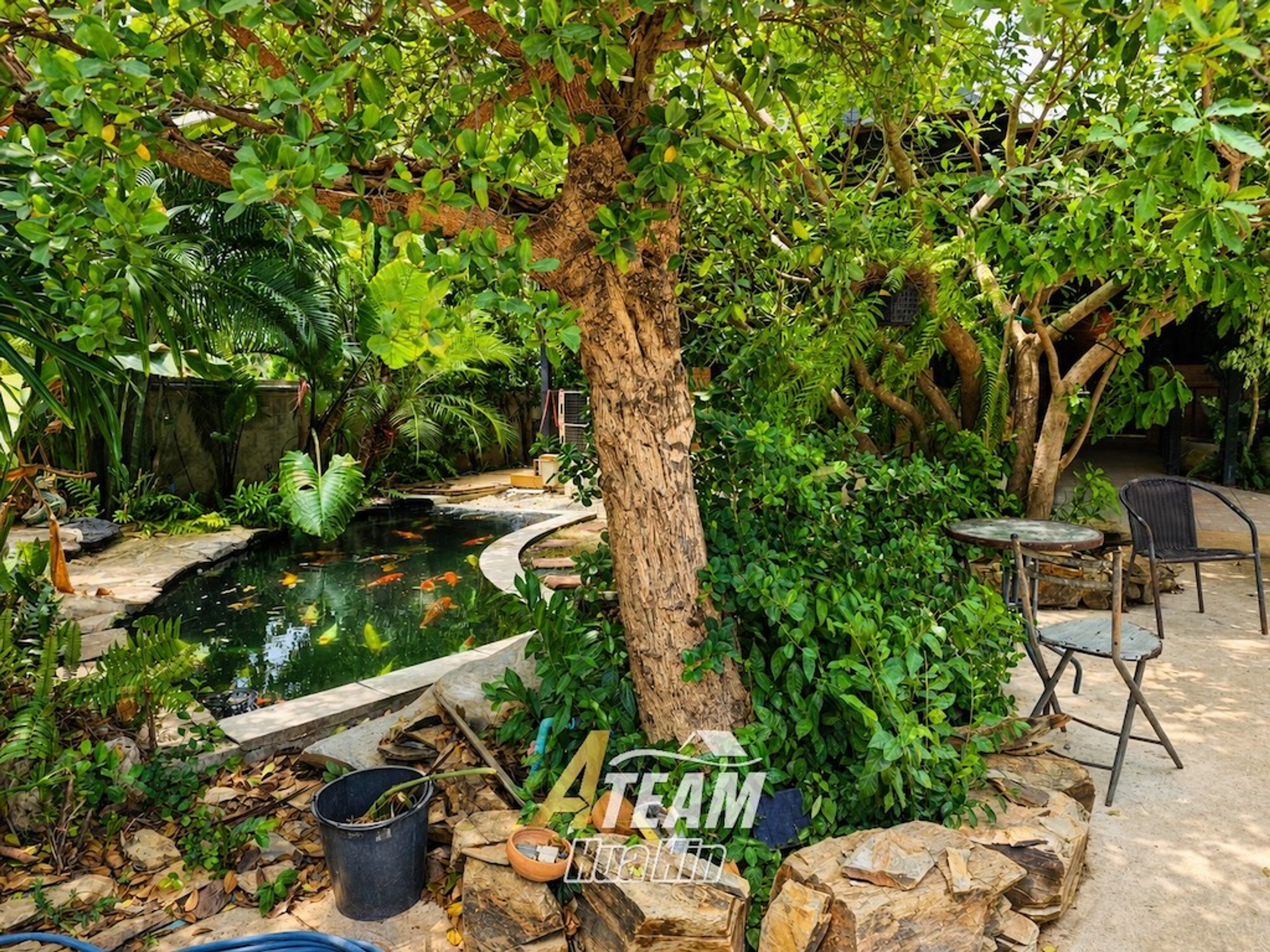 House / Villa For Sale - 0 - 3 Bedrooms - 2 Bathrooms - Price ฿25,000, thumbnail 4