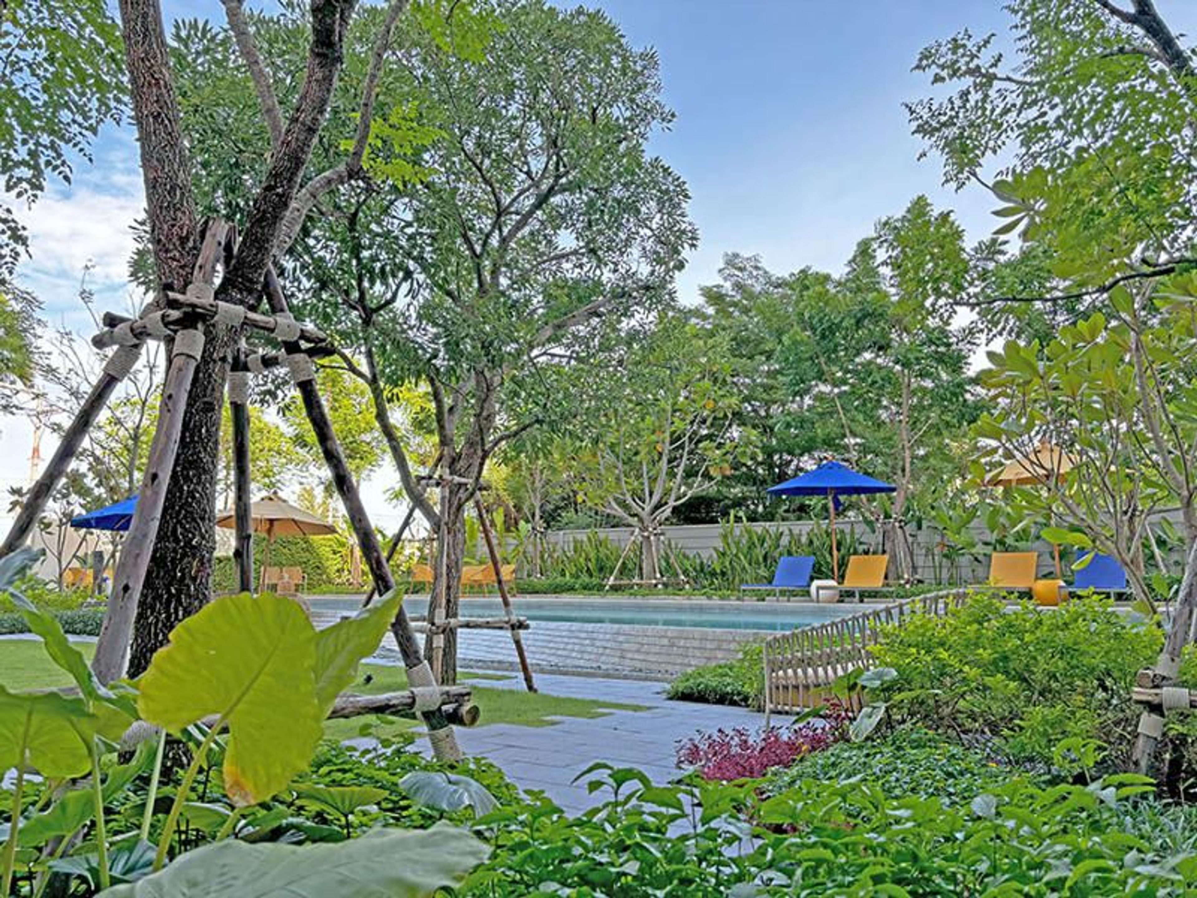 Apartment / Condo For Rent - - 1 Bedroom - 1 Bathroom - Price ฿11,000  thumbnail 28