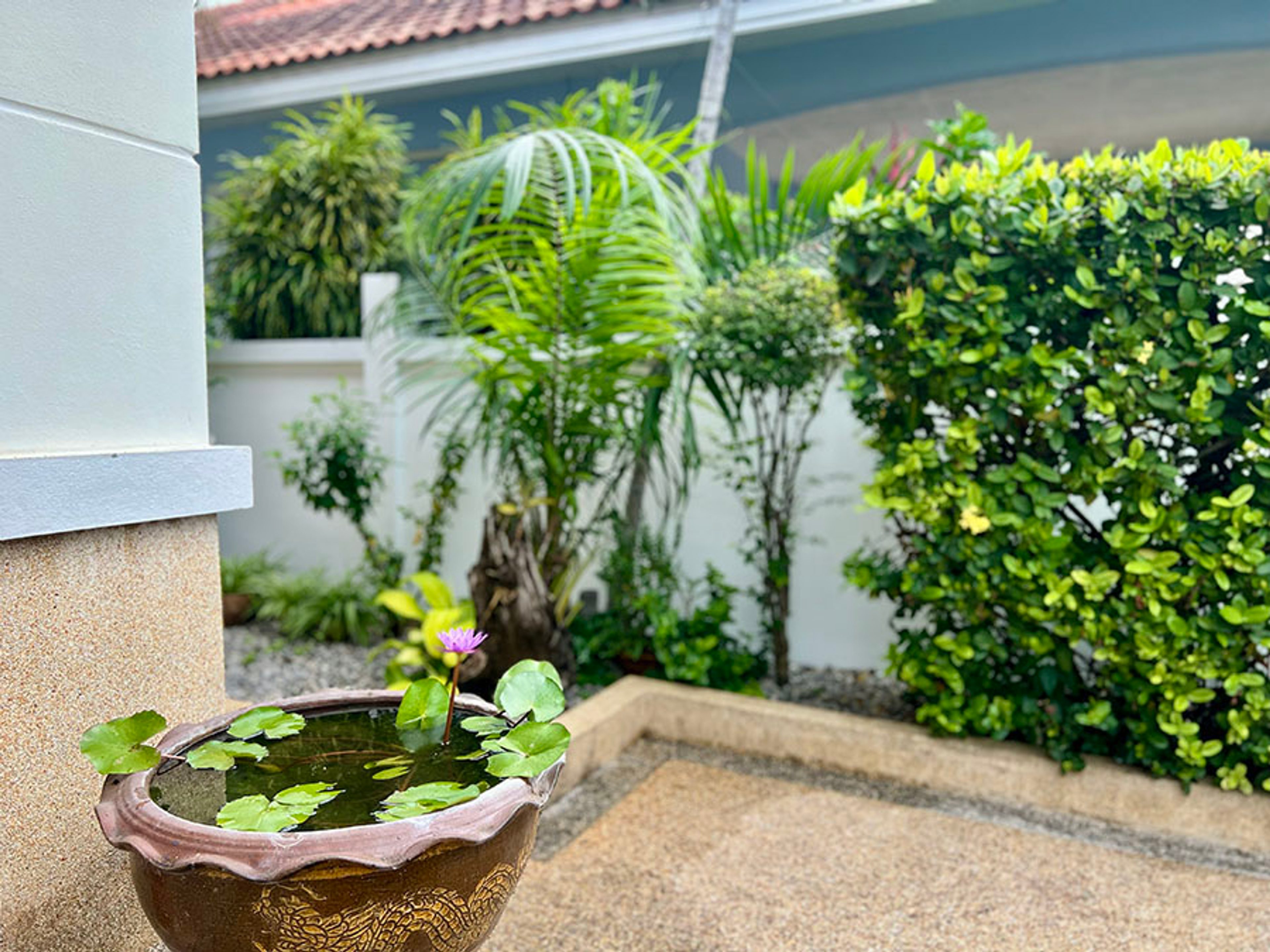 3 Bedroom 2 Bathroom Pool Villa in Orchid Home Soi 102 thumbnail 24