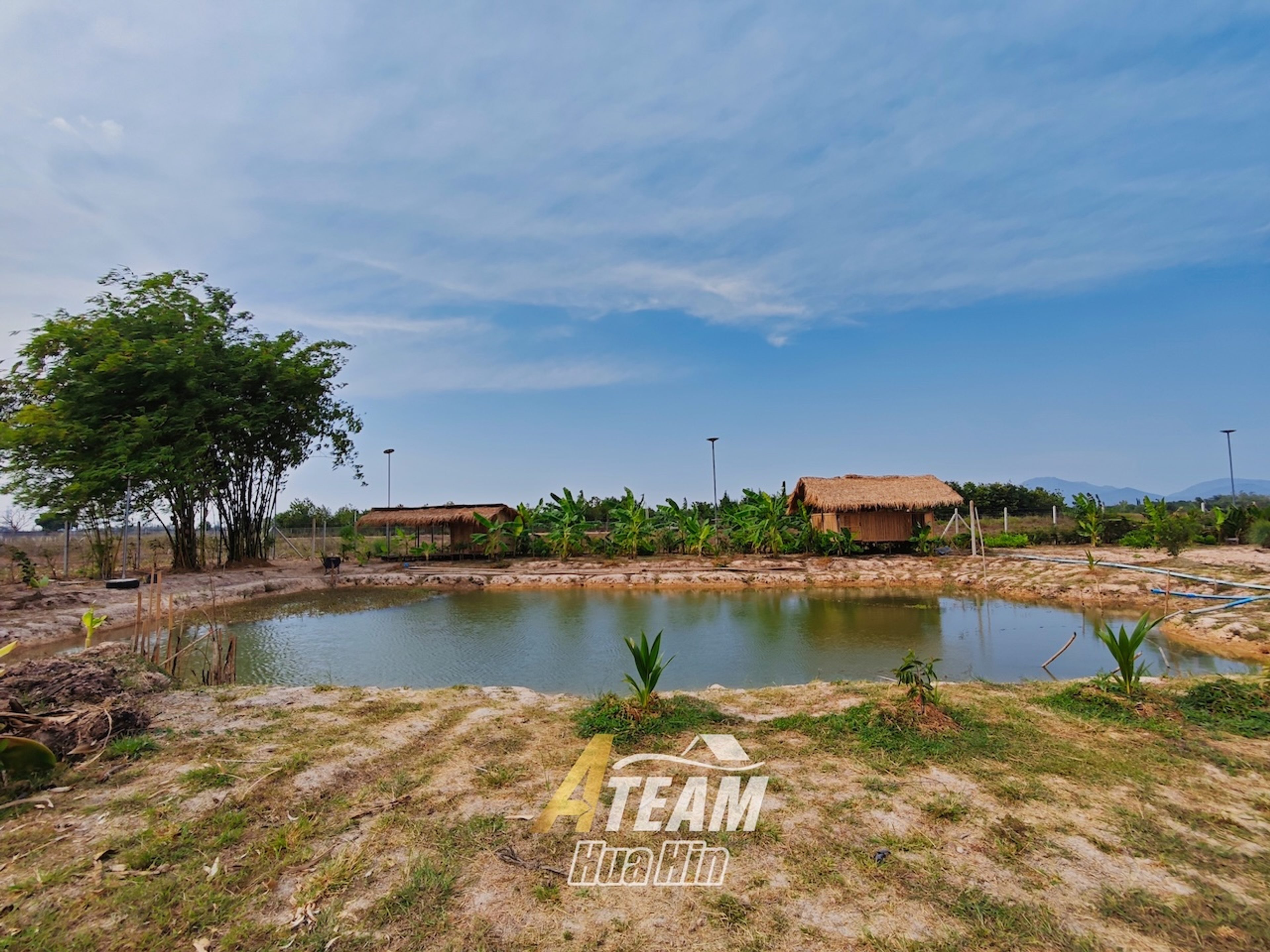 Peaceful Countryside Standalone House on 5 Rai Land in Sam Phraya  thumbnail 20