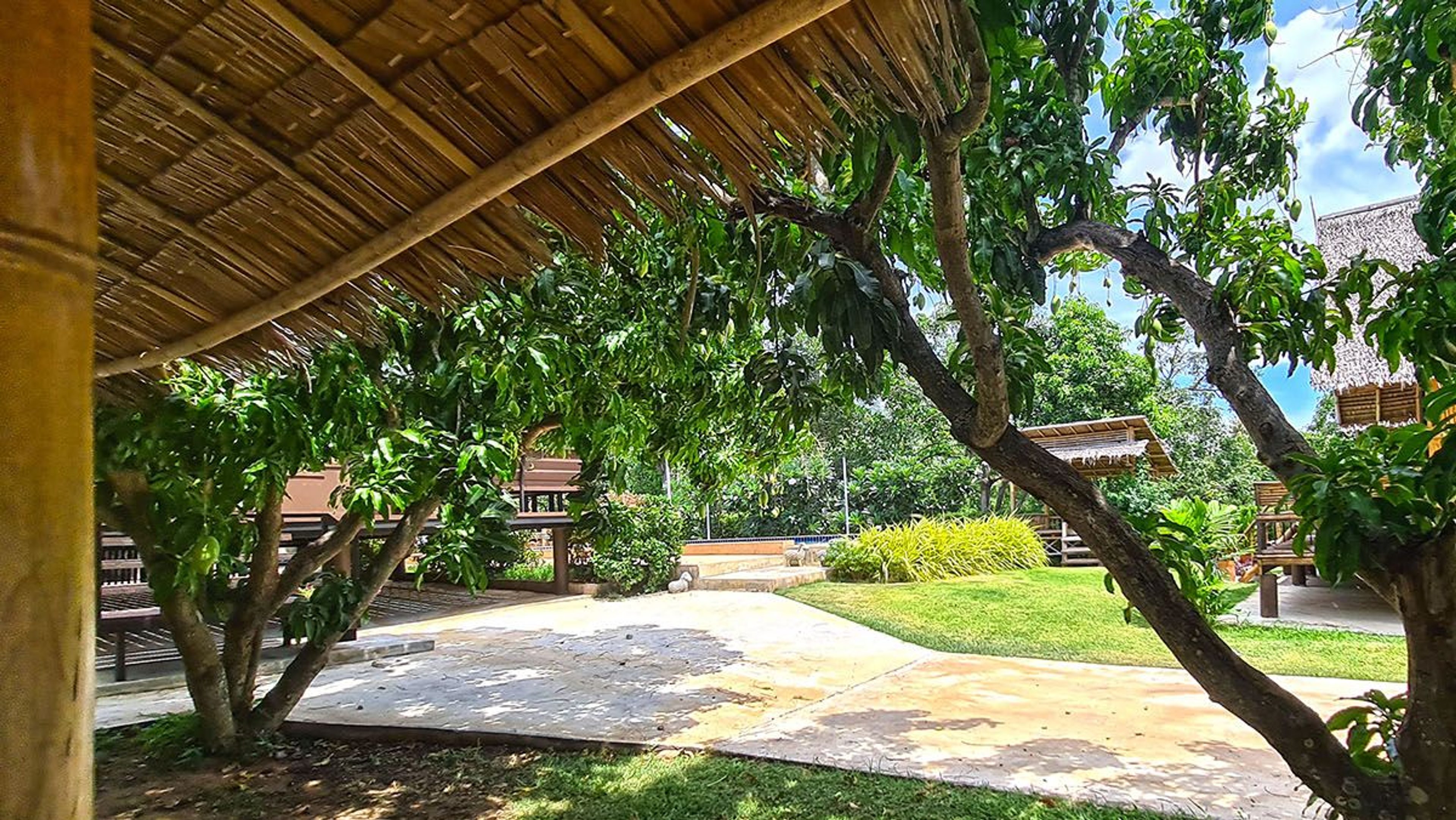 Mango Hills one of a kind resort property in stunning scenic location thumbnail 47