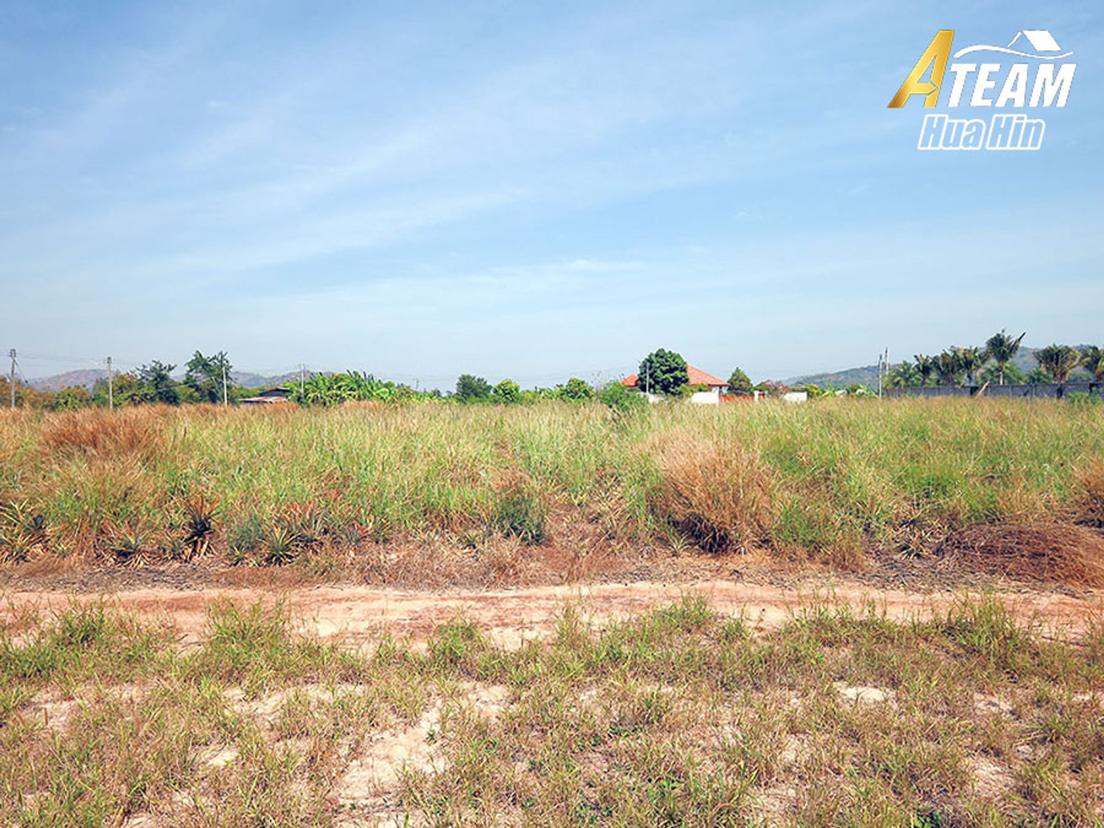 ที่ดินสวยขนาด 4 rai สำหรับขายใน Wang Pong – ทำเลวิวภูเขา thumbnail 20