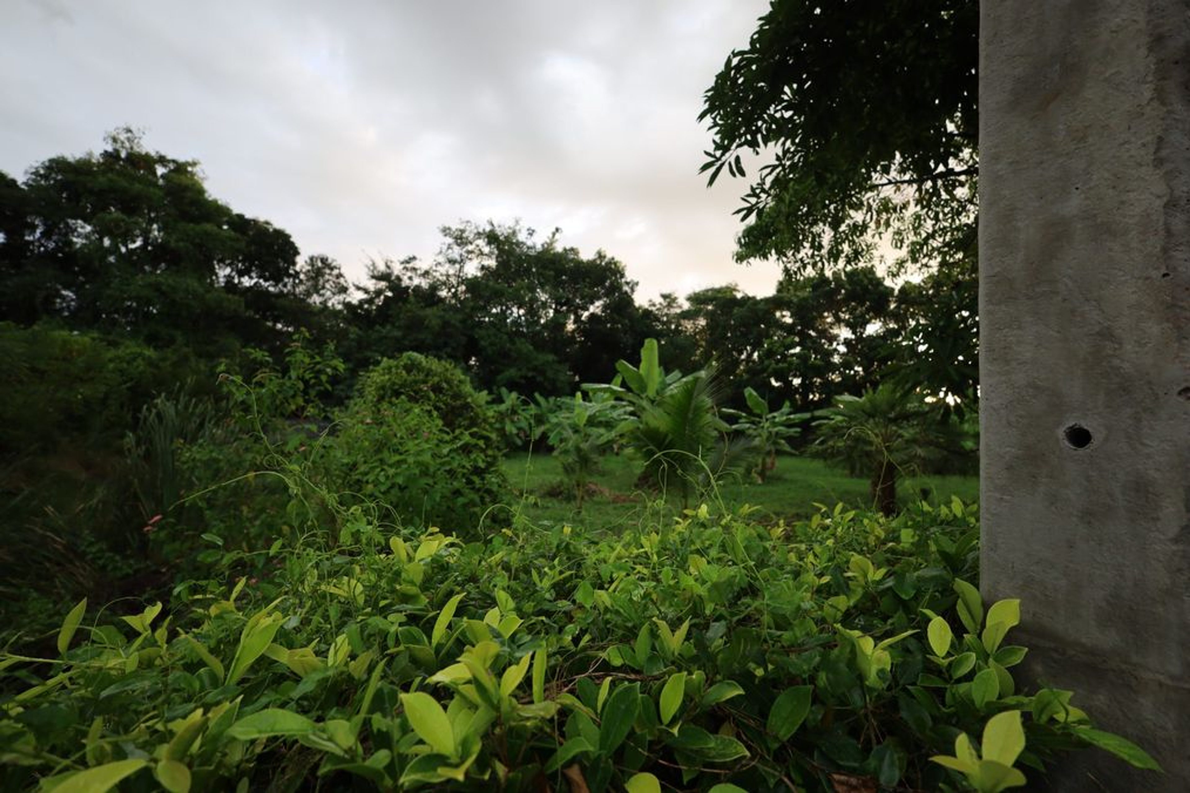 ? For Sale: 1,360 Sqm Land in Black Mountain, Hua Hin – 3.85 Million T