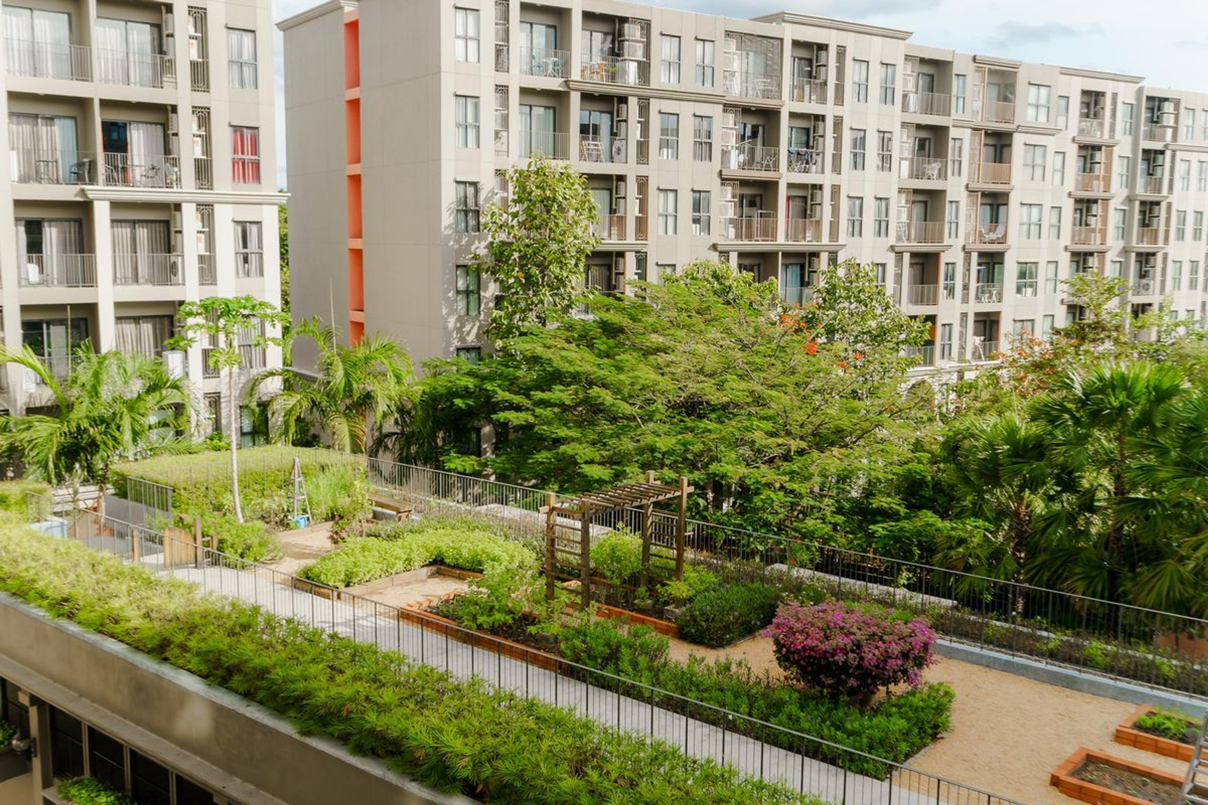 La Habana Hua Hin – Building B, 5th Floor (34 sqm, Pool View) thumbnail 22