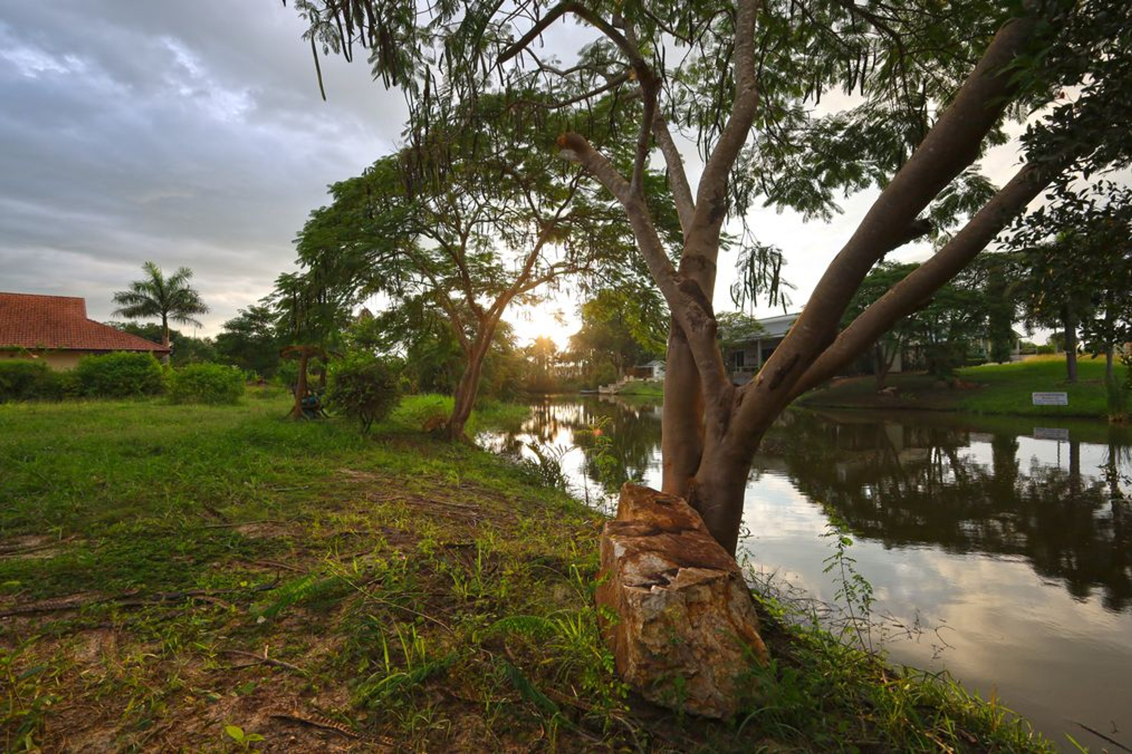 For Sale: 1,240 Sqm Stunning Lakefront Land with Wall and Entrance Arc thumbnail 9
