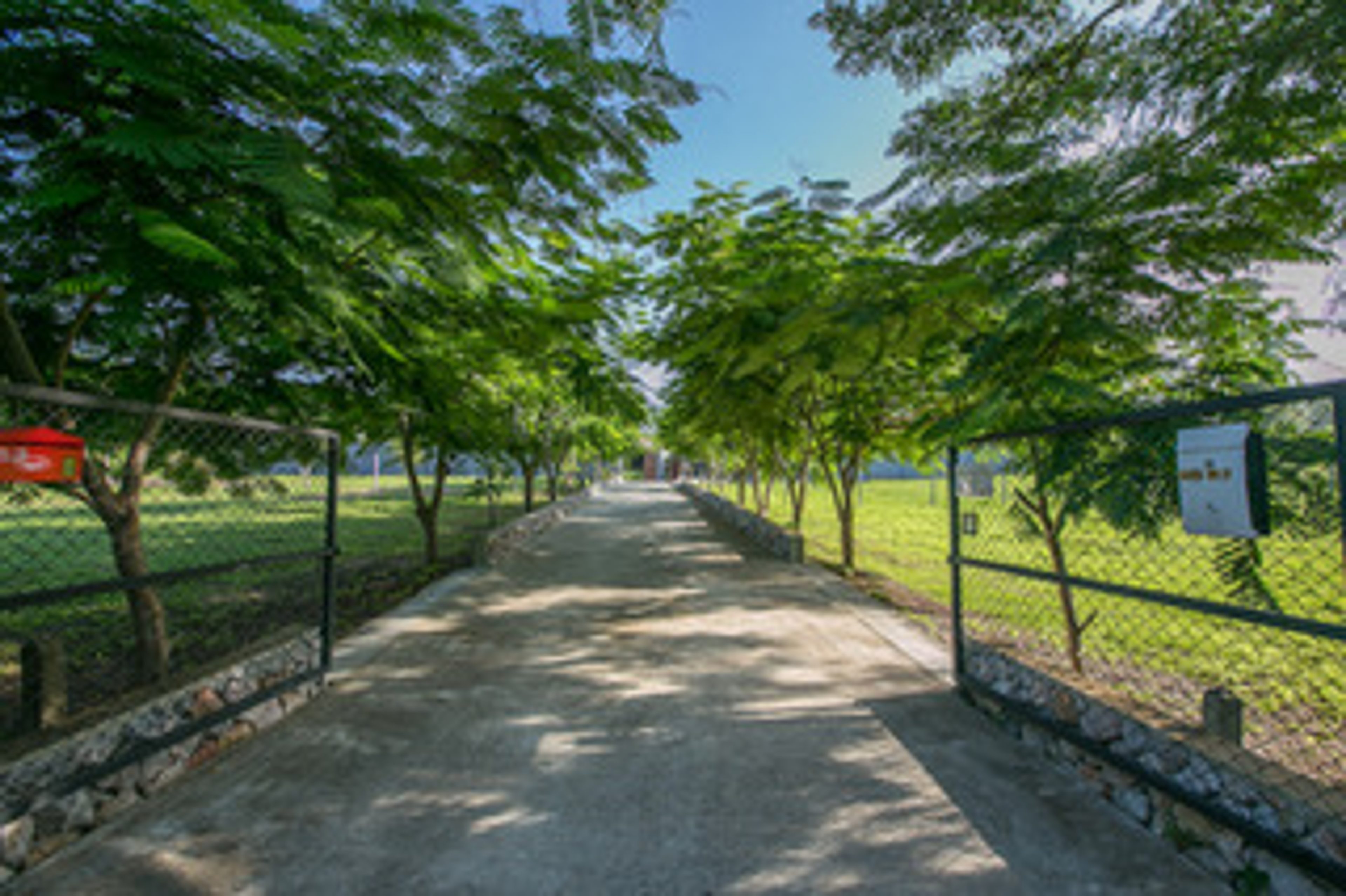 Land for Sale 1km from Black Mountain Golf Course. thumbnail 2