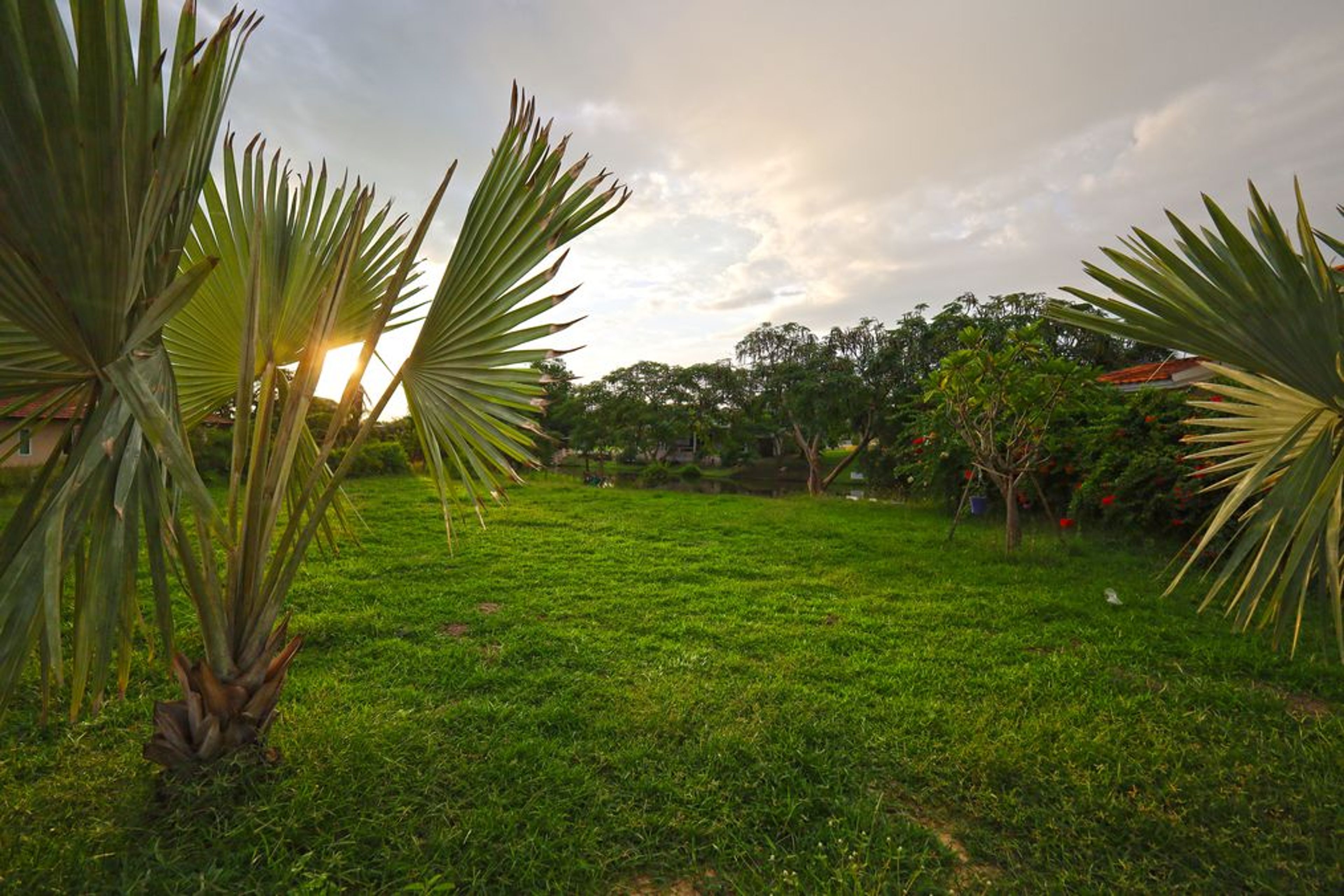 For Sale: 1,240 Sqm Stunning Lakefront Land with Wall and Entrance Arc thumbnail 3