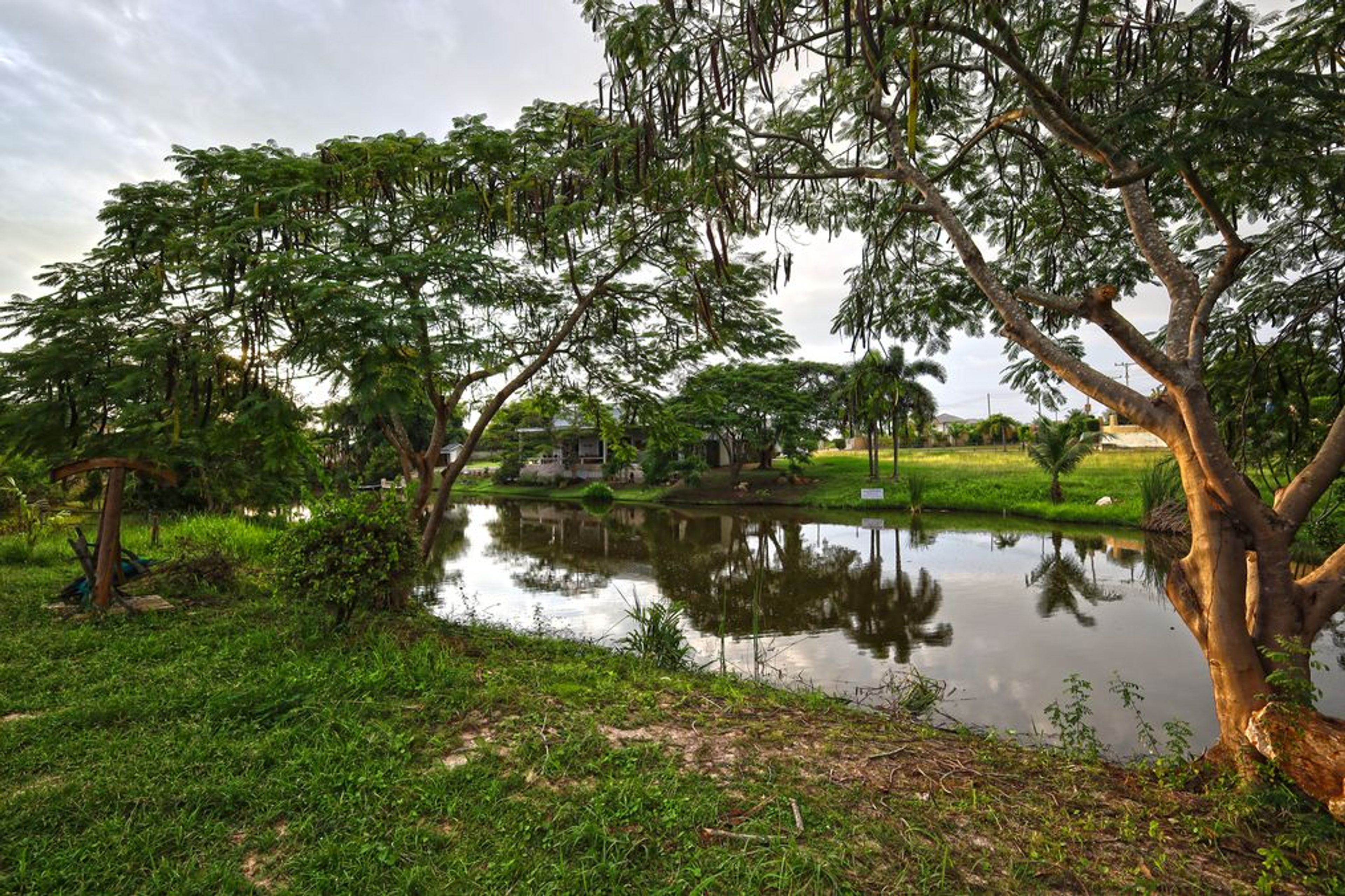 For Sale: 1,240 Sqm Stunning Lakefront Land with Wall and Entrance Arc thumbnail 6