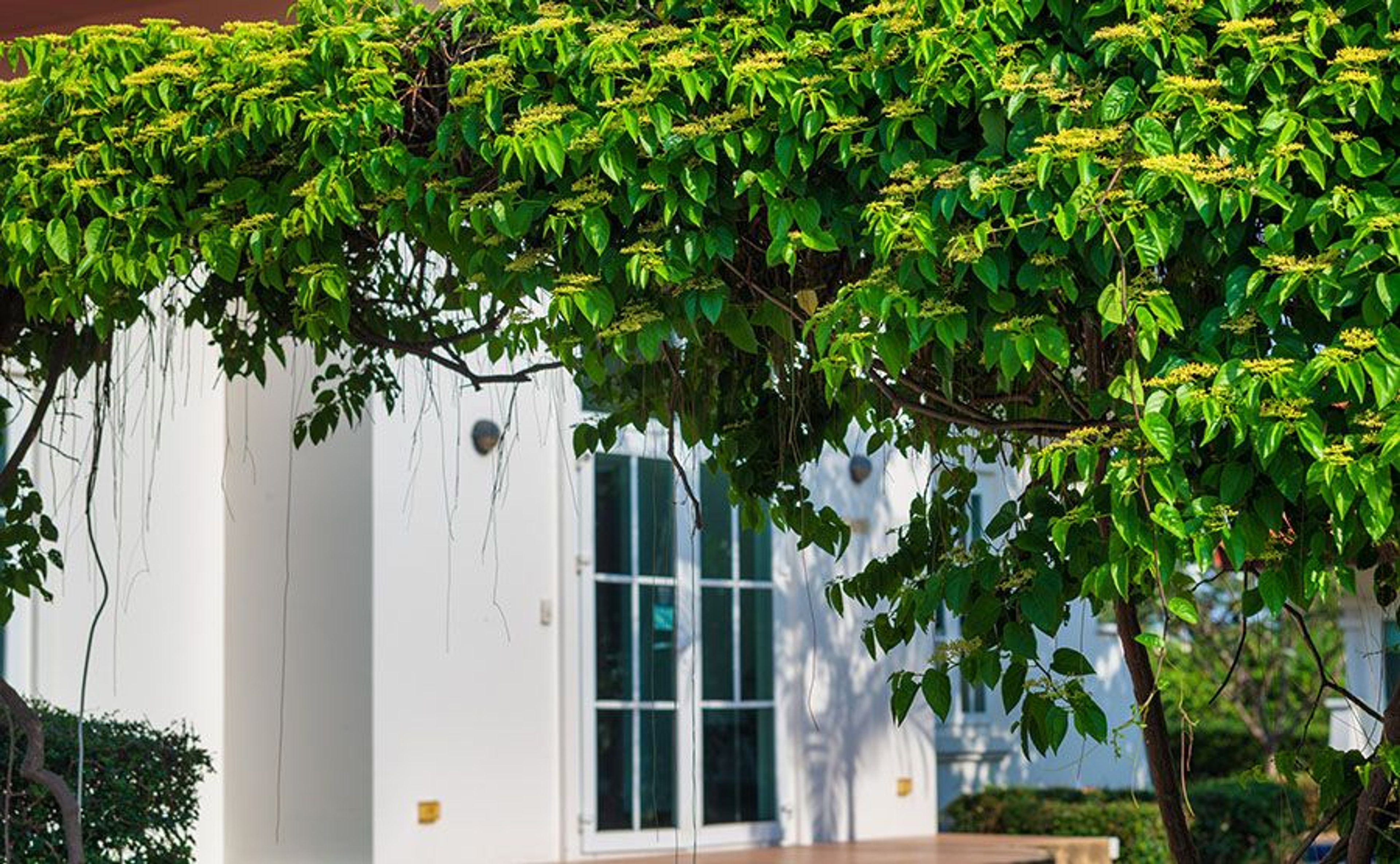 BelVida Parque – Villa Suriya Lagoon thumbnail 21