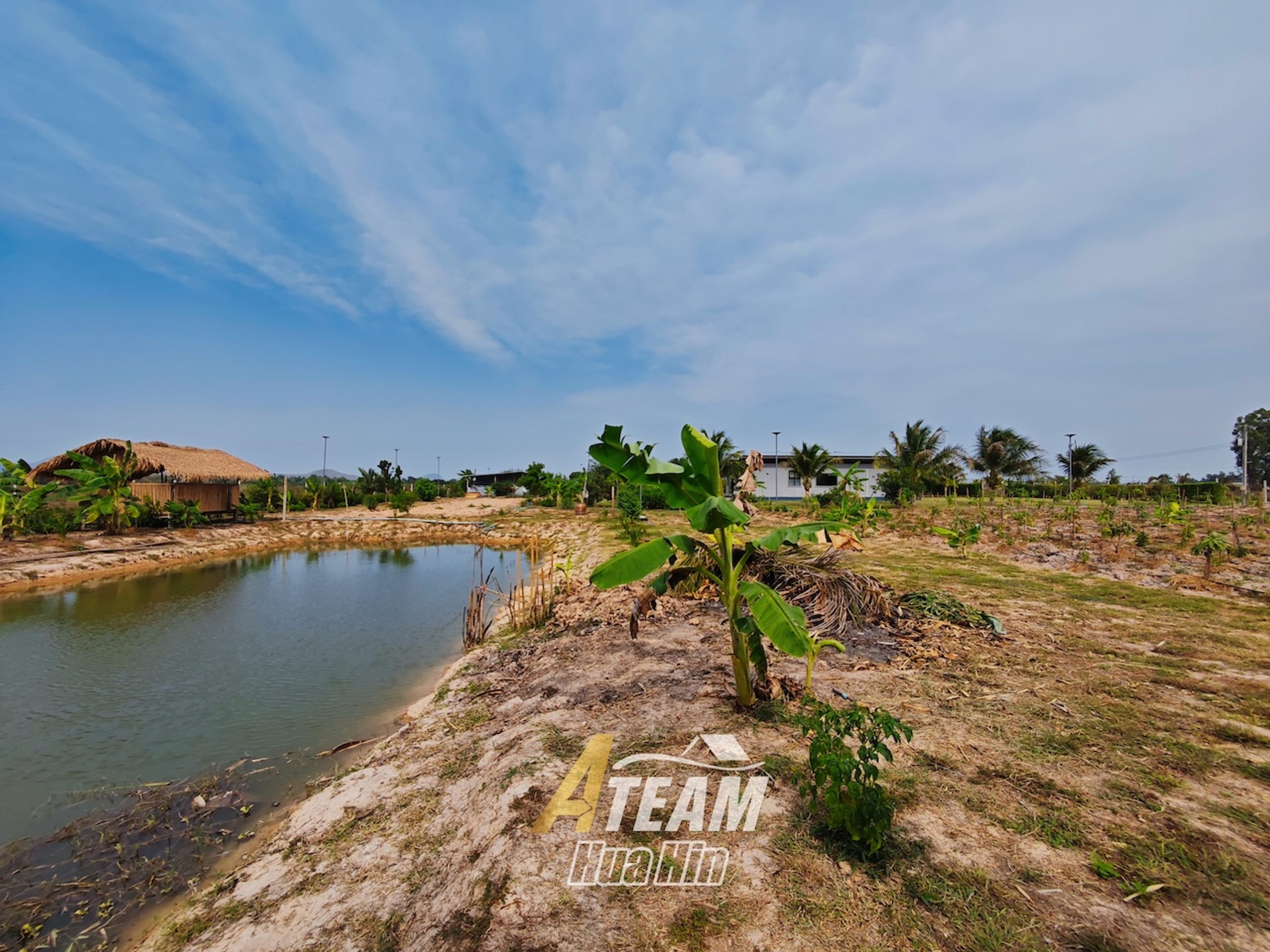 Peaceful Countryside Standalone House on 5 Rai Land in Sam Phraya  thumbnail 21