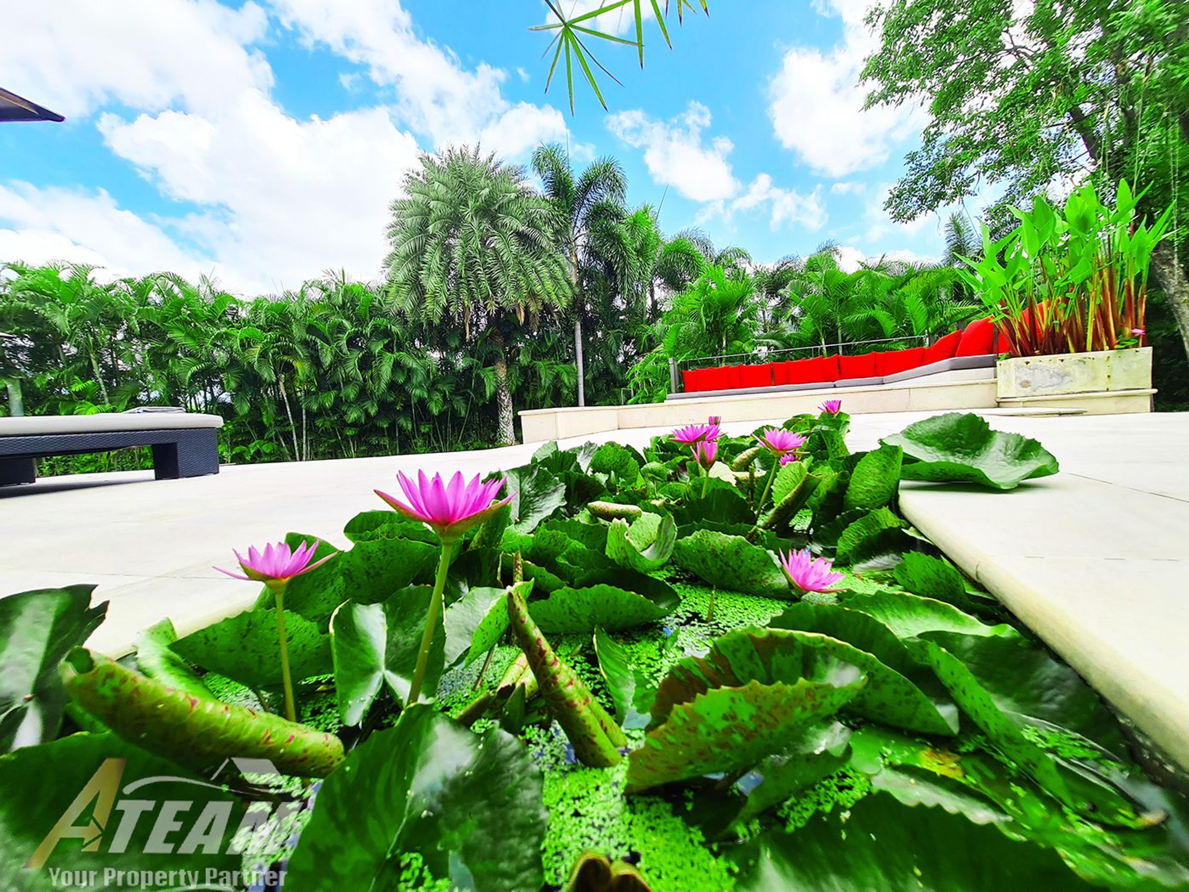 8 bedrooms most exclusive Luxury property in Hua Hin thumbnail 35