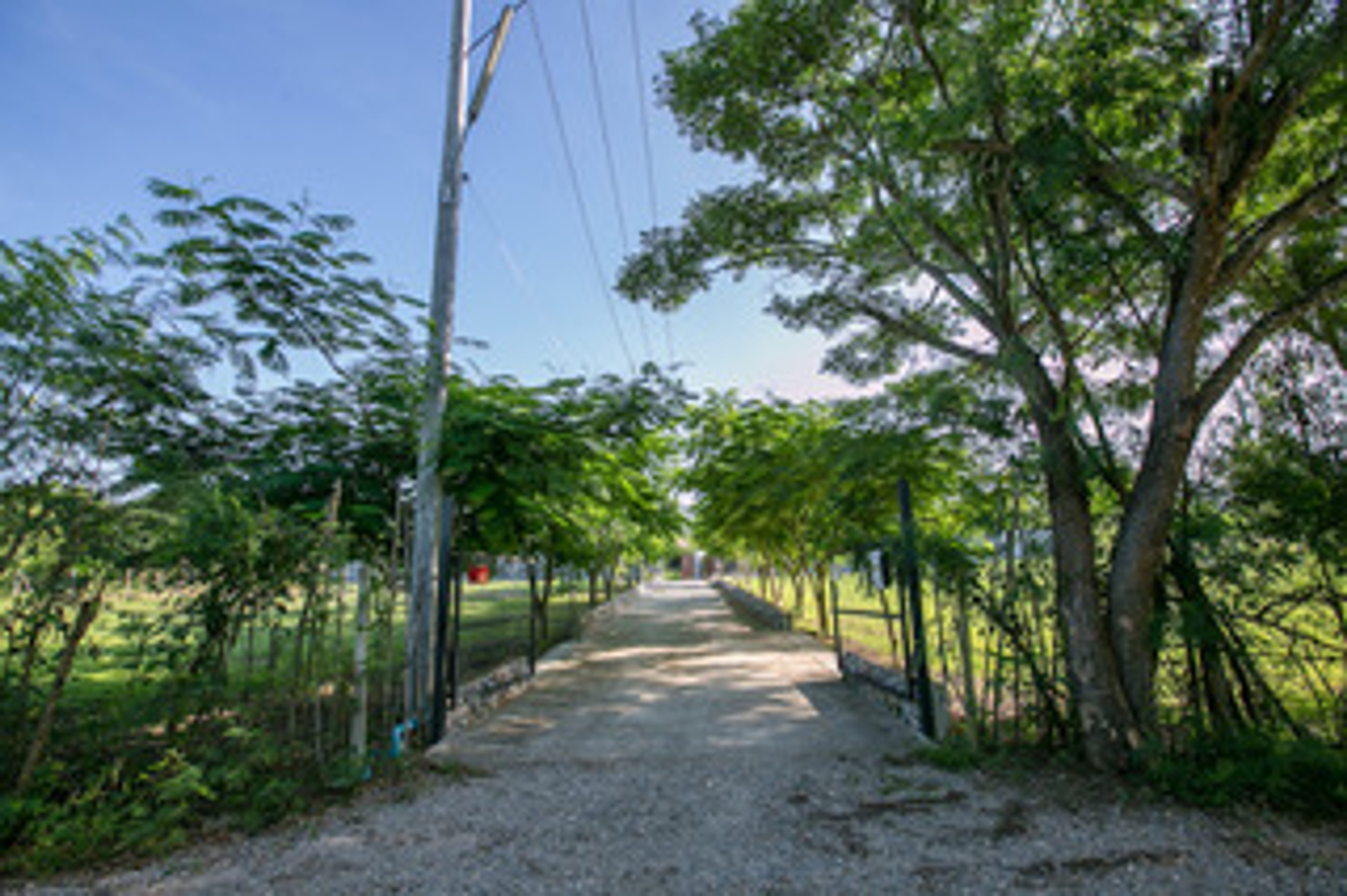 Land for Sale 1km from Black Mountain Golf Course. thumbnail 6