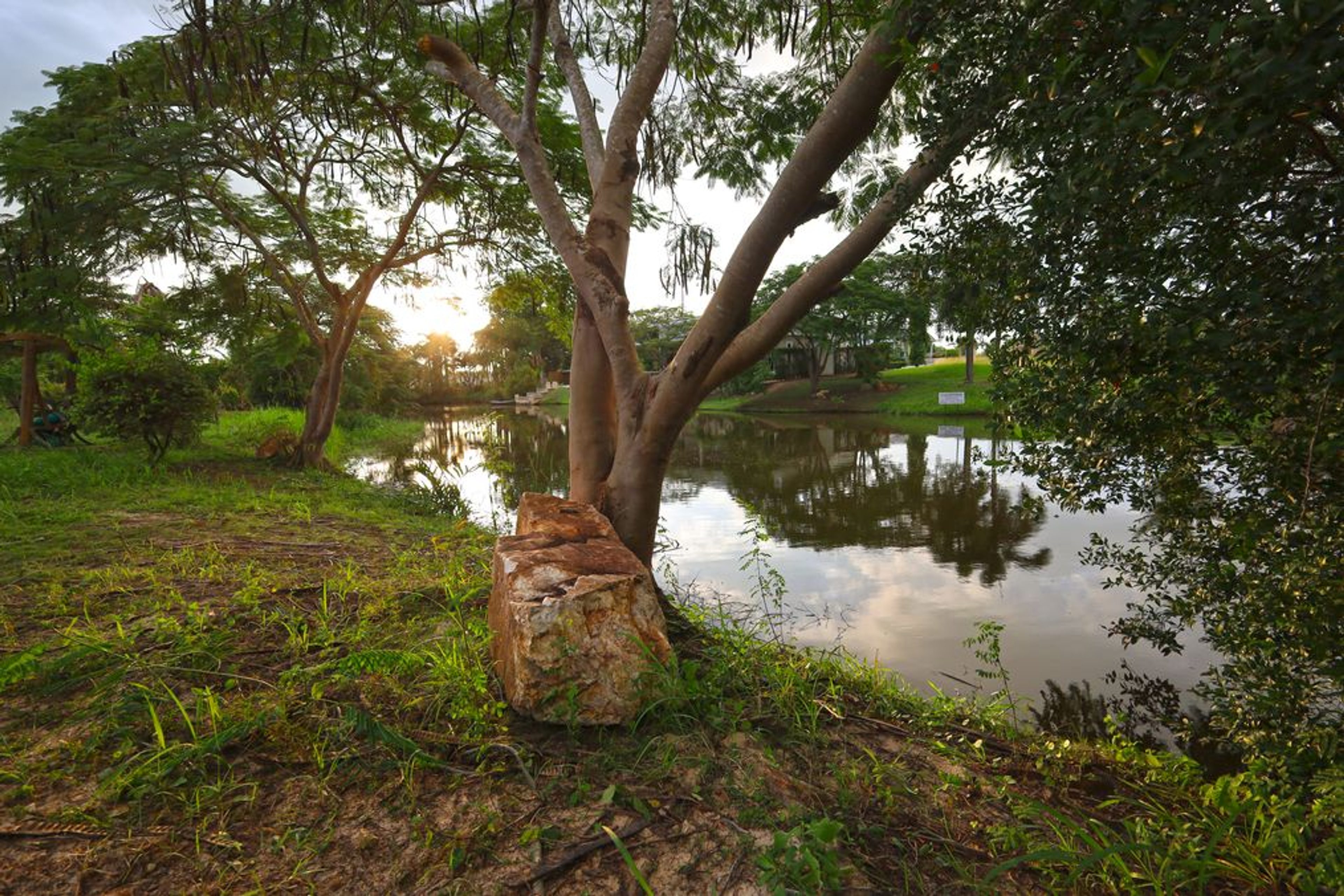 For Sale: 1,240 Sqm Stunning Lakefront Land with Wall and Entrance Arc thumbnail 7
