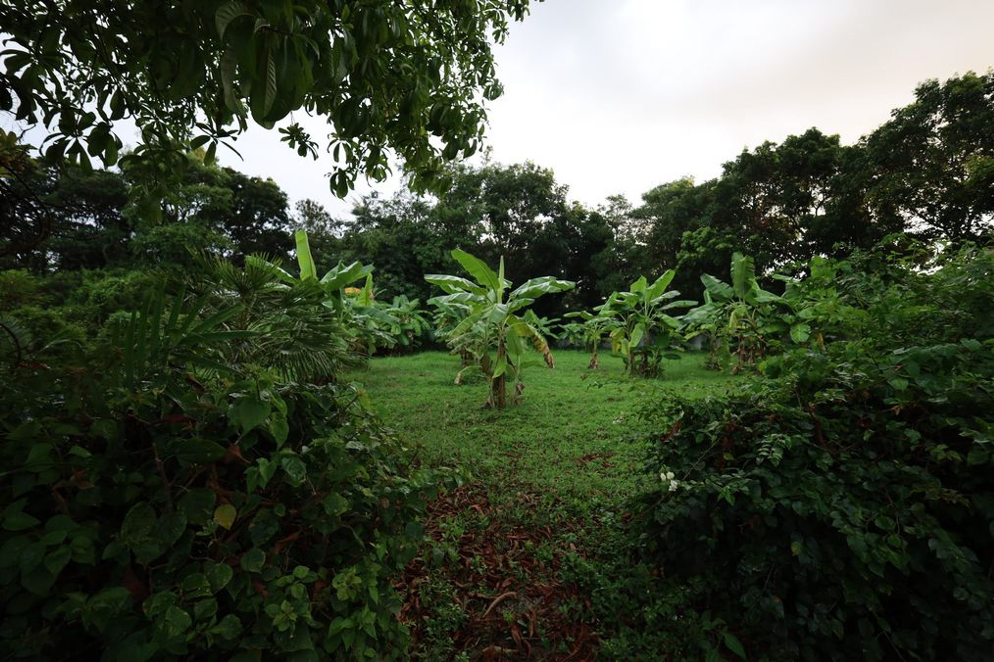 ? For Sale: 1,360 Sqm Land in Black Mountain, Hua Hin – 3.85 Million T thumbnail 3