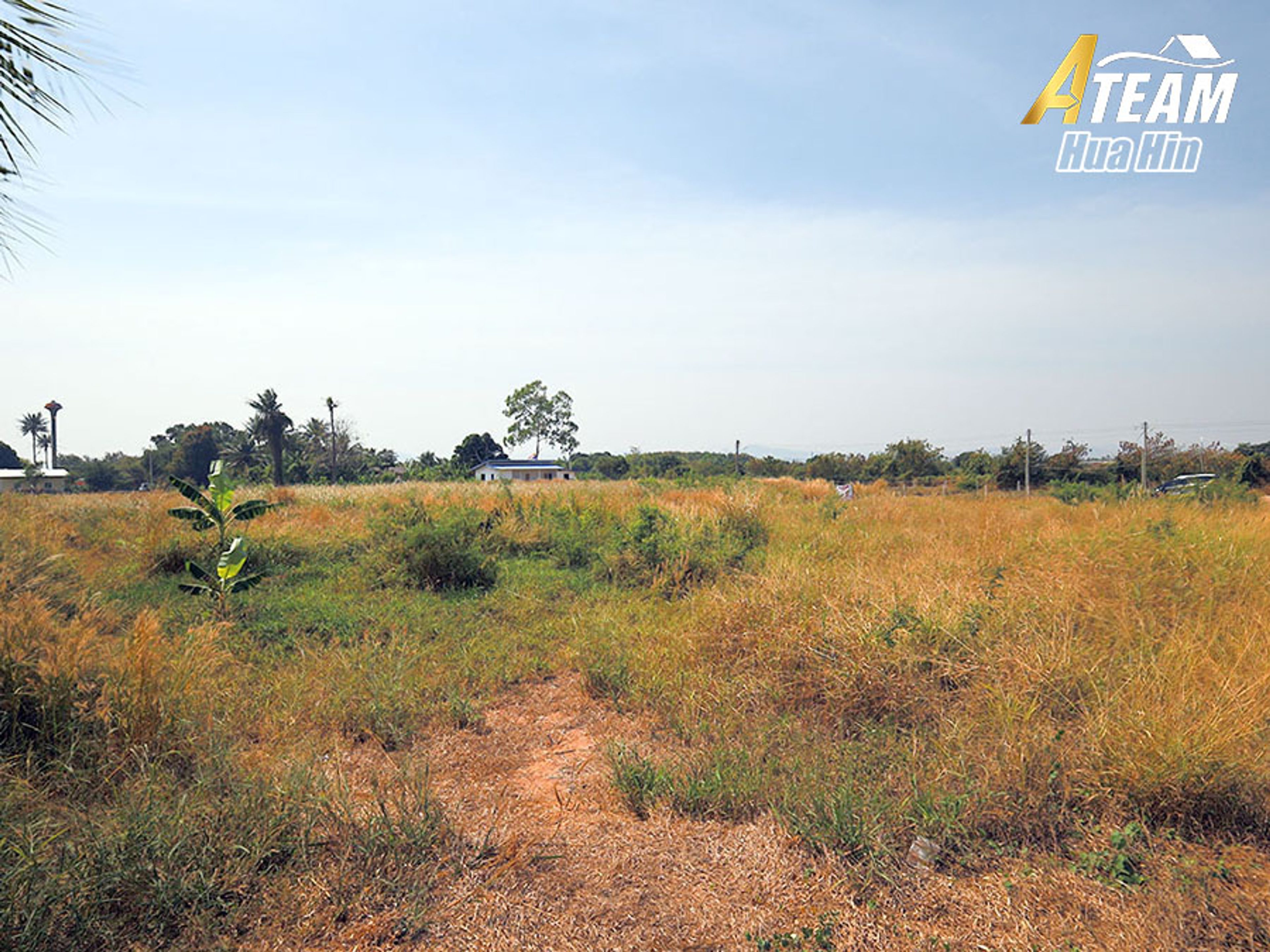 ที่ดินสวยขนาด 4 rai สำหรับขายใน Wang Pong – ทำเลวิวภูเขา thumbnail 16