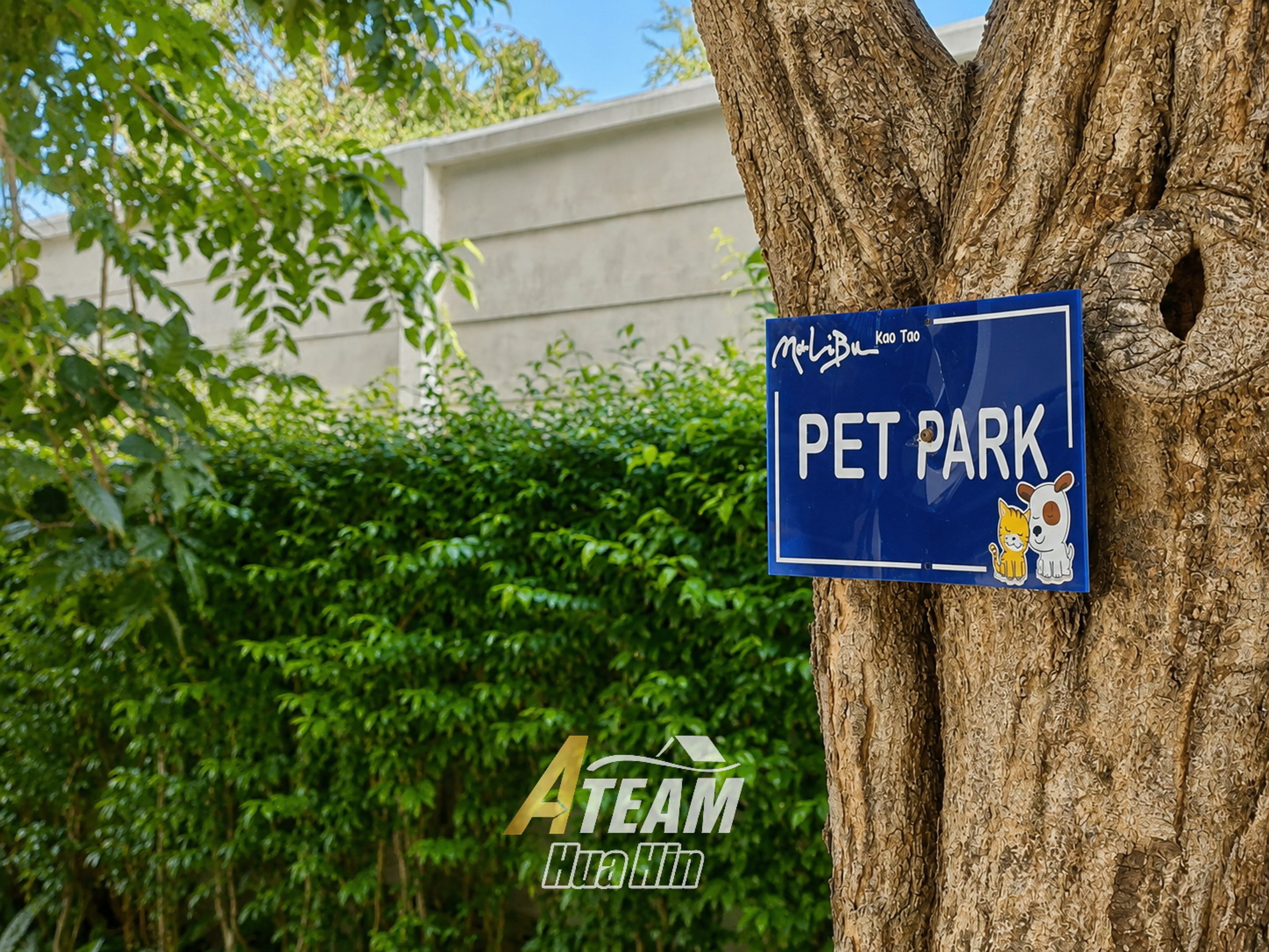 Beachfront Pet-Friendly 2-Bedroom Sea View Condo at Malibu Khao Tao thumbnail 19