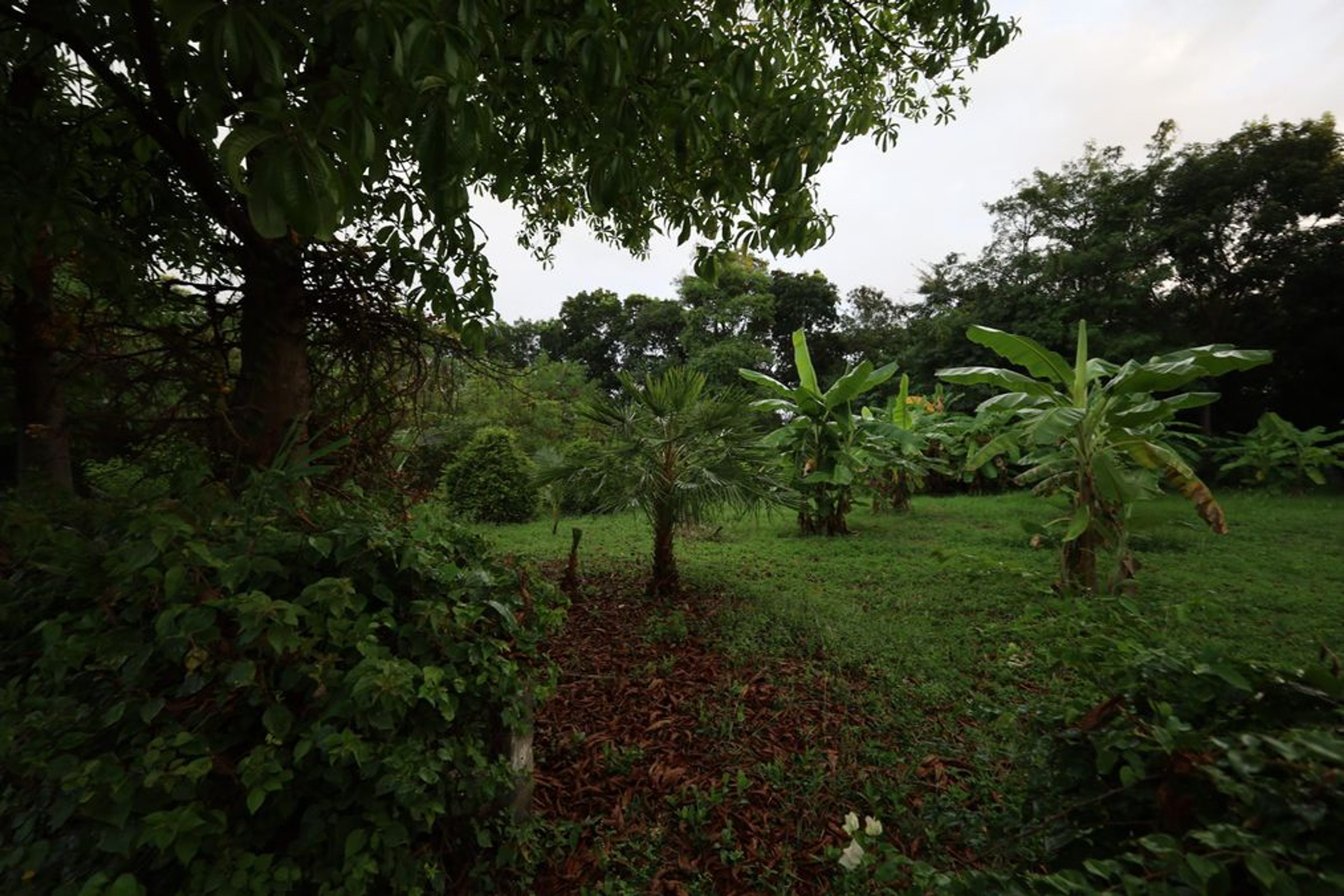 ? For Sale: 1,360 Sqm Land in Black Mountain, Hua Hin – 3.85 Million T thumbnail 4